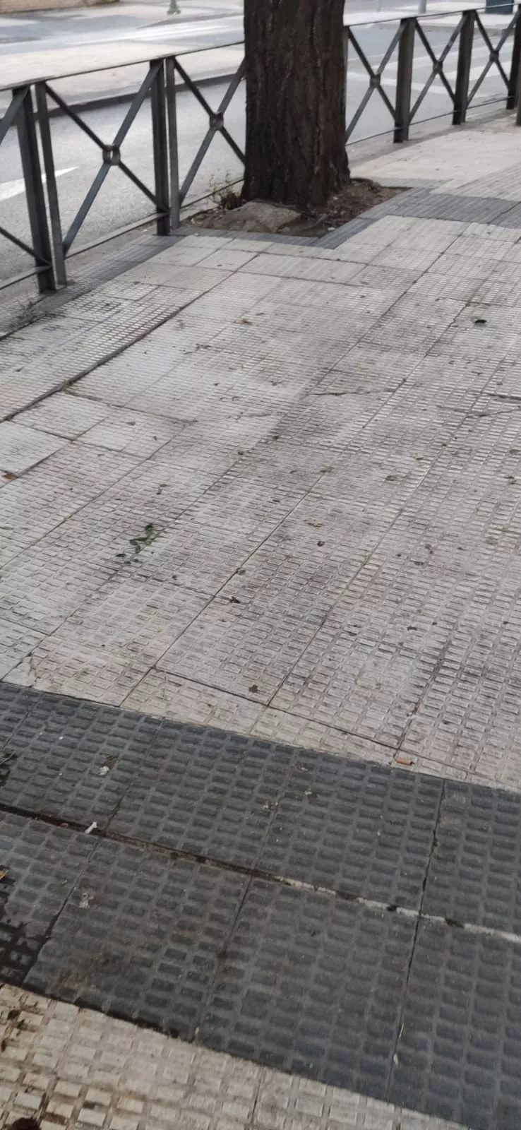 Plaza Luis Buñuel (2)