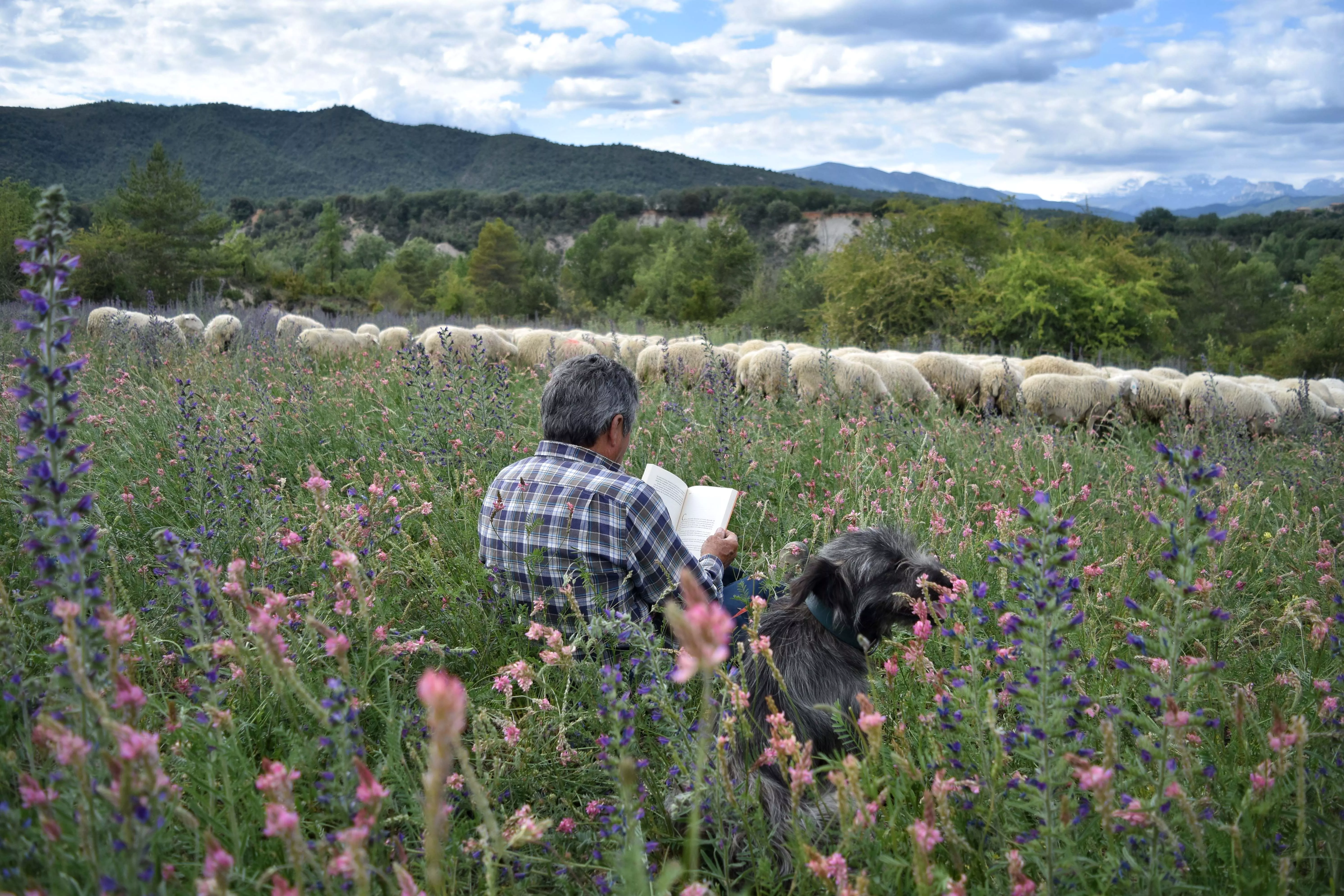 El pastor, el perro y las palabras, de Mar Sampietro Morillo, ganadora del certamen.