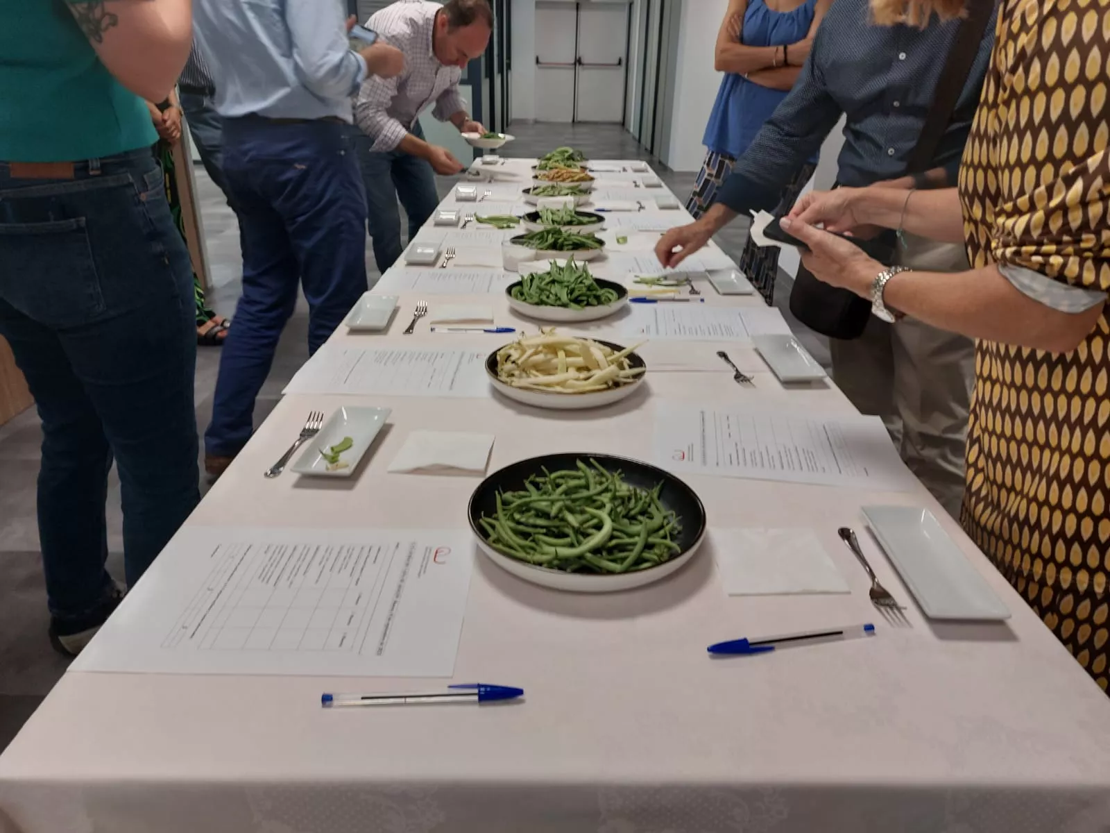 Cata de judías en riesgo de extinción