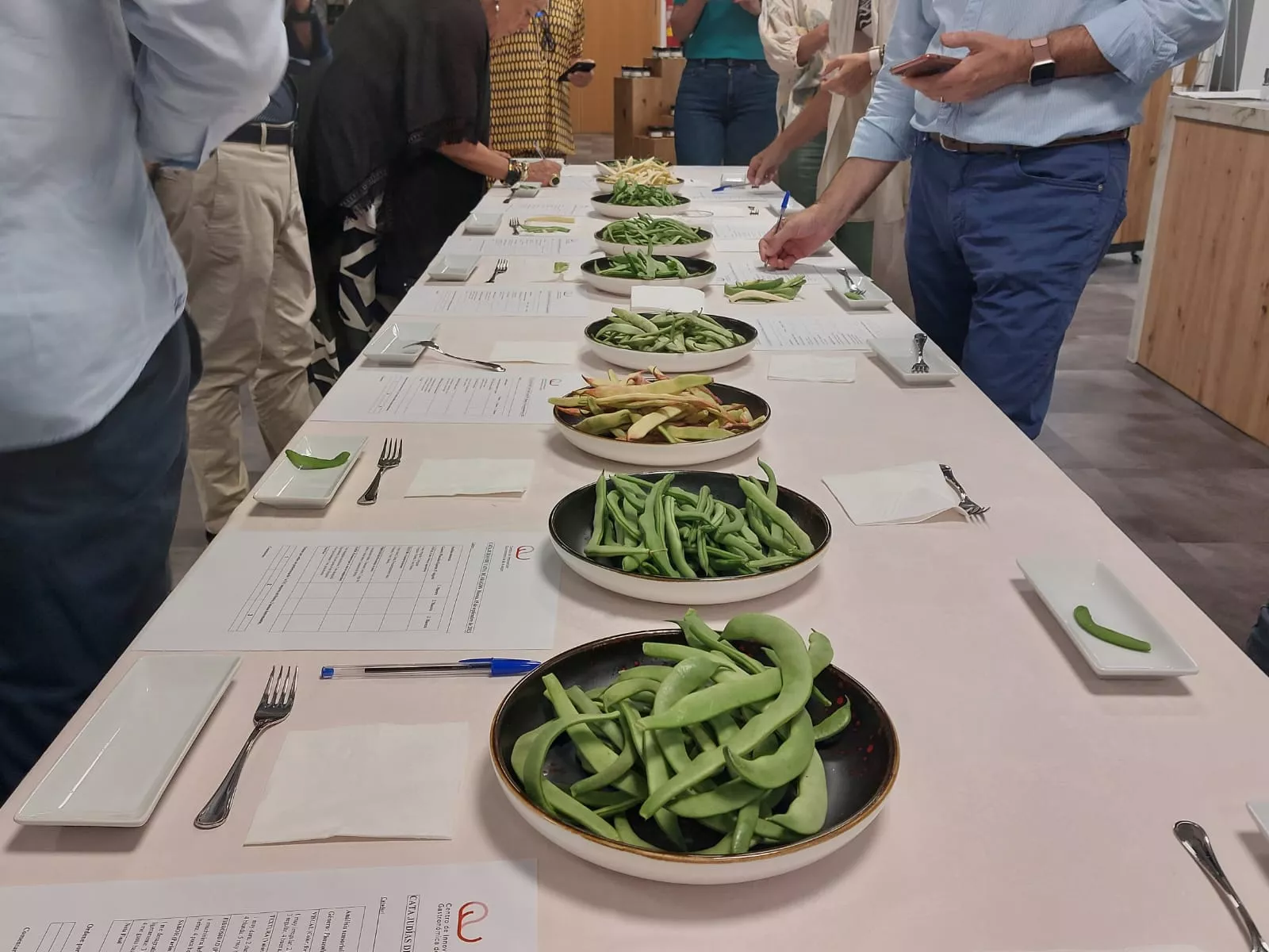 Cata de judías en riesgo de extinción