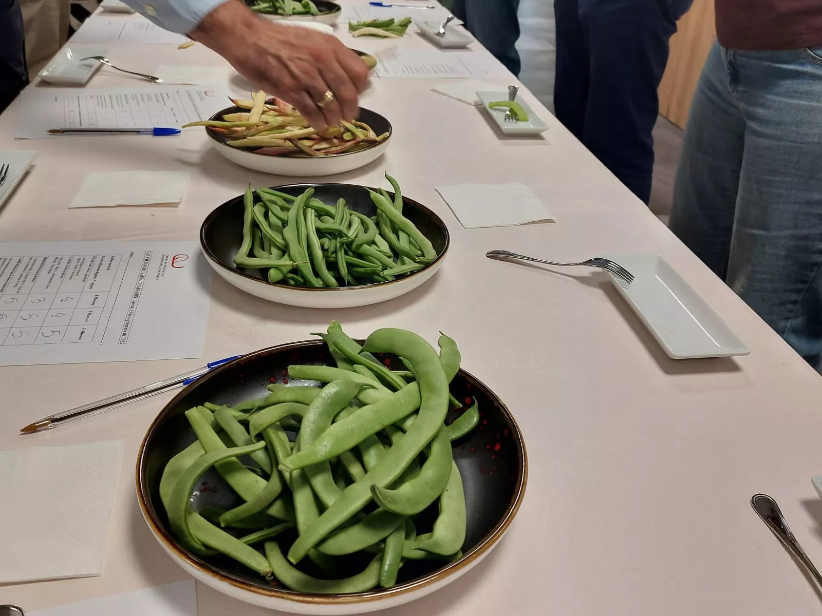 Cata de judías en riesgo de extinción