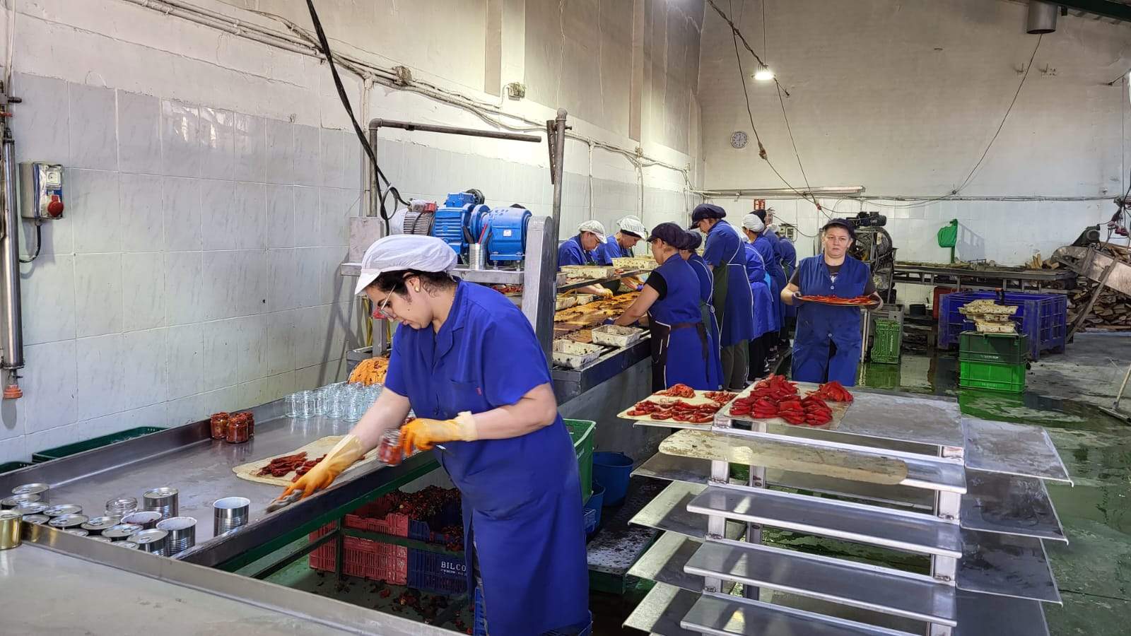 Trabajadoras en Conservas Perón de Lodosa.