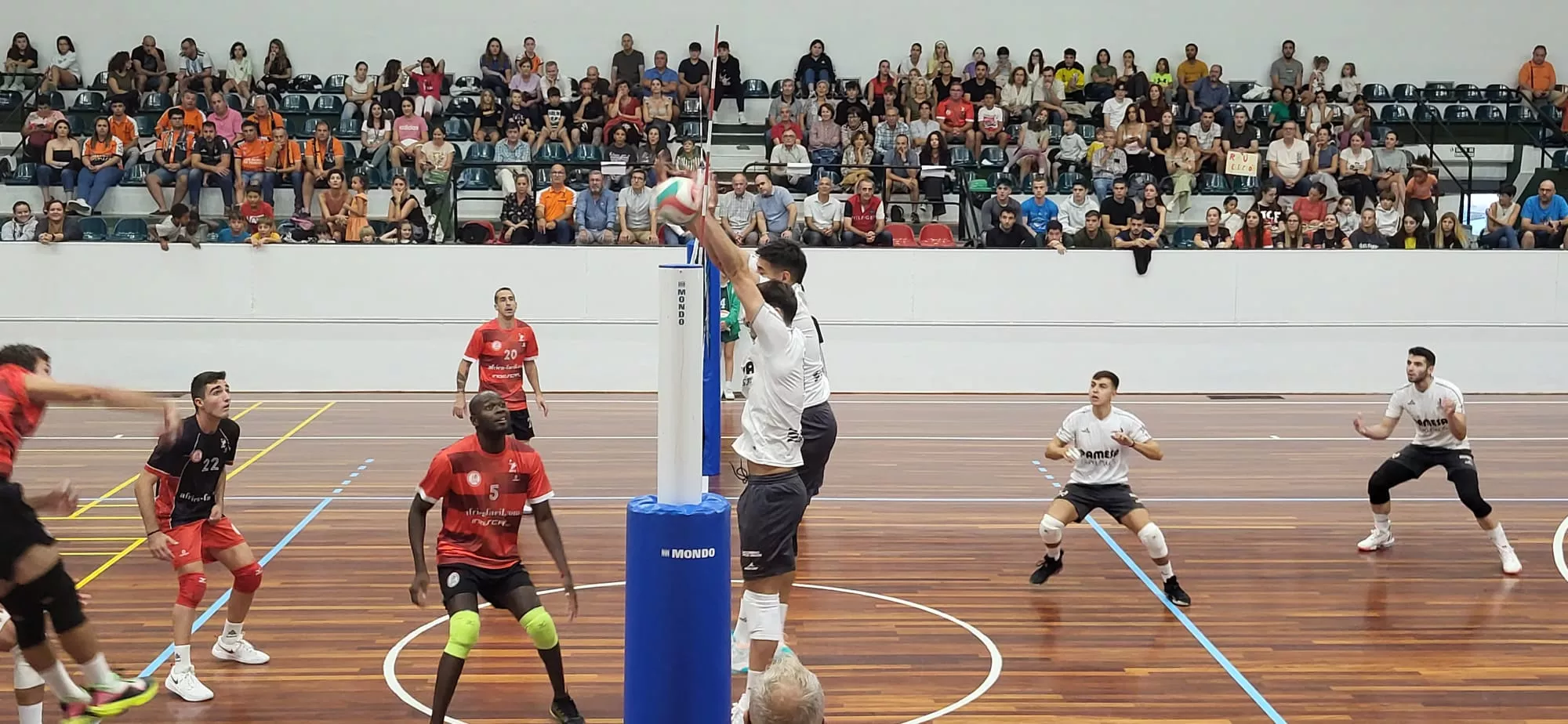 Partido Pamesa Voleibol Teruel-CV Zaragoza