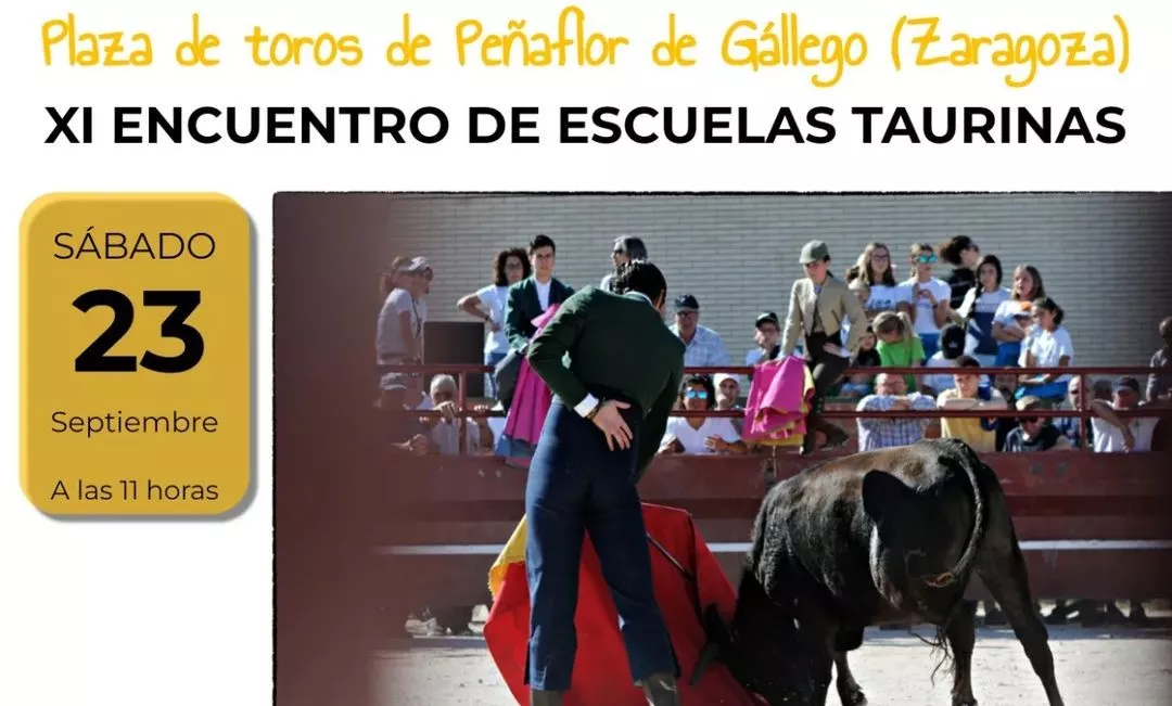 Nuevo intenso fin de semana para los novilleros oscenses