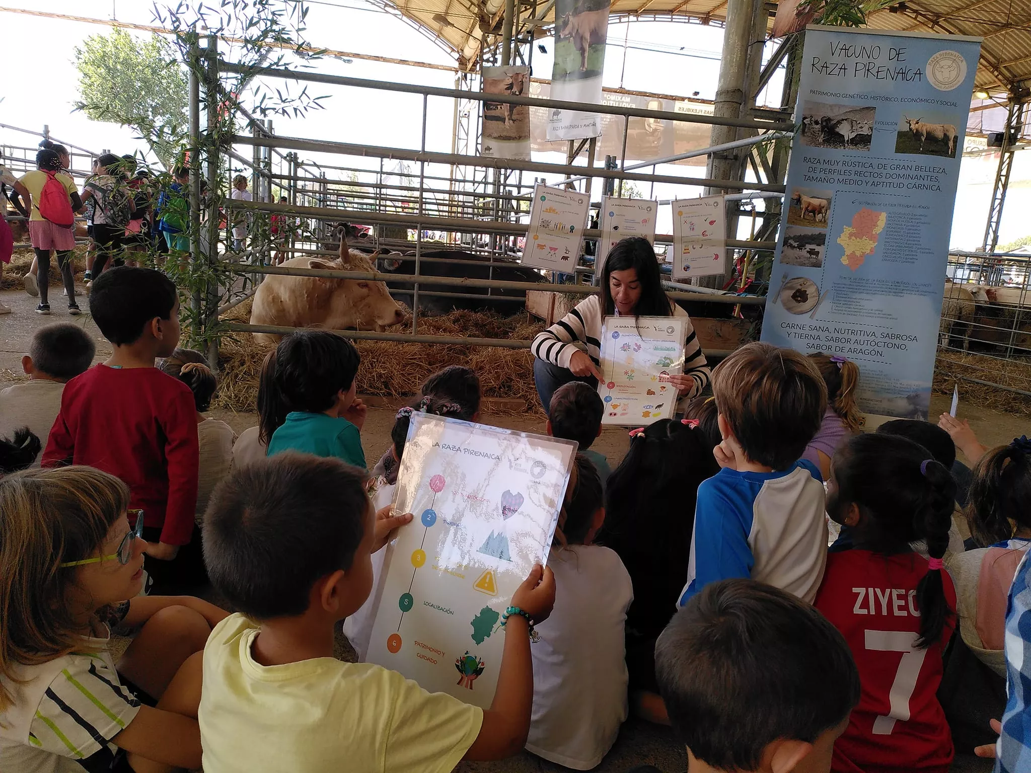 Femoga ha incluido en su arranque actividades para los escolares. Foto Ceip La Laguna