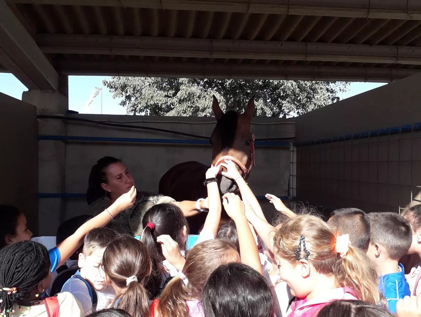  Jornada inaugural de Femoga 2023 en el recinto ferial de Sariñena.