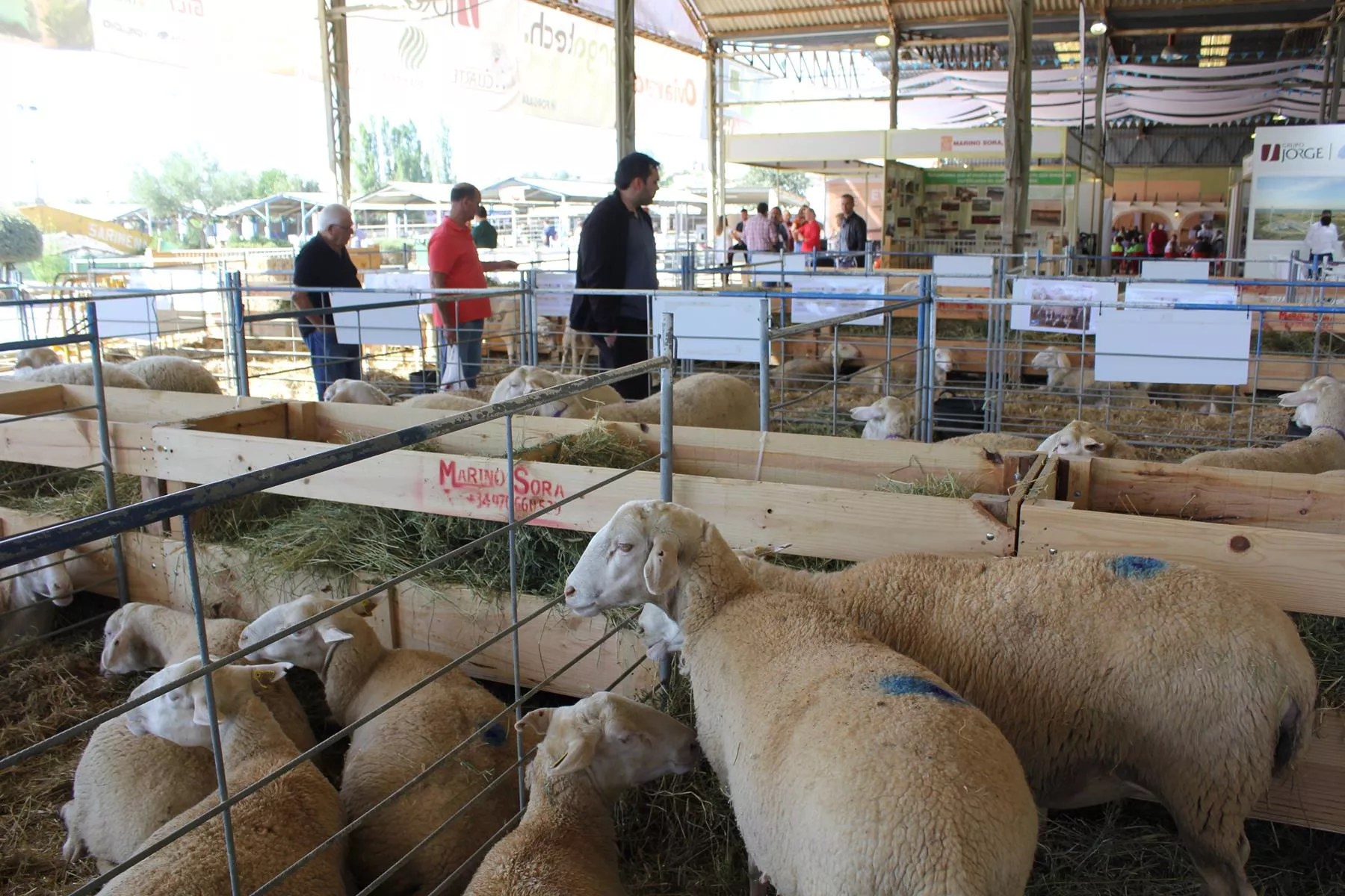  Jornada inaugural de Femoga 2023 en el recinto ferial de Sariñena.