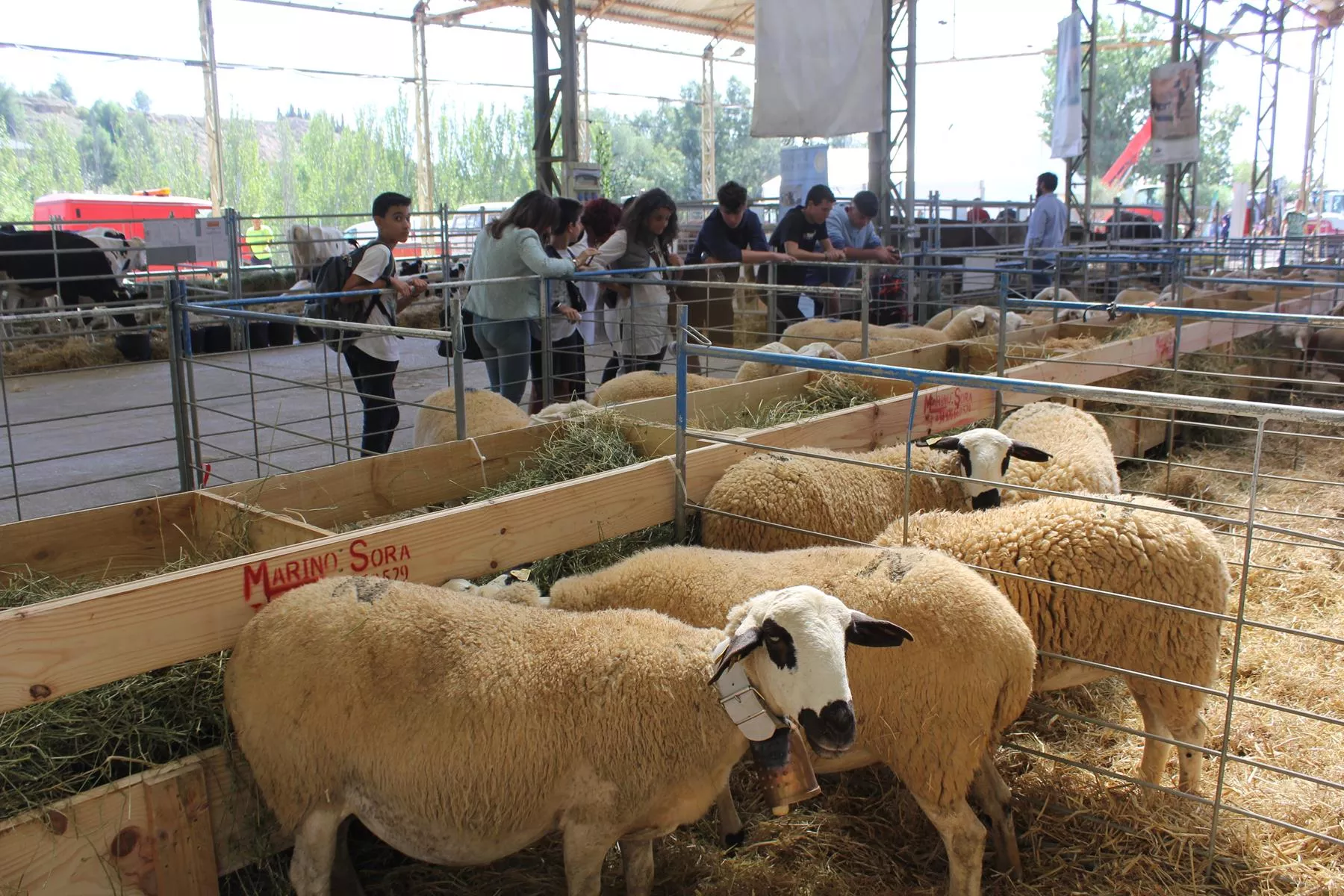  Jornada inaugural de Femoga 2023 en el recinto ferial de Sariñena.