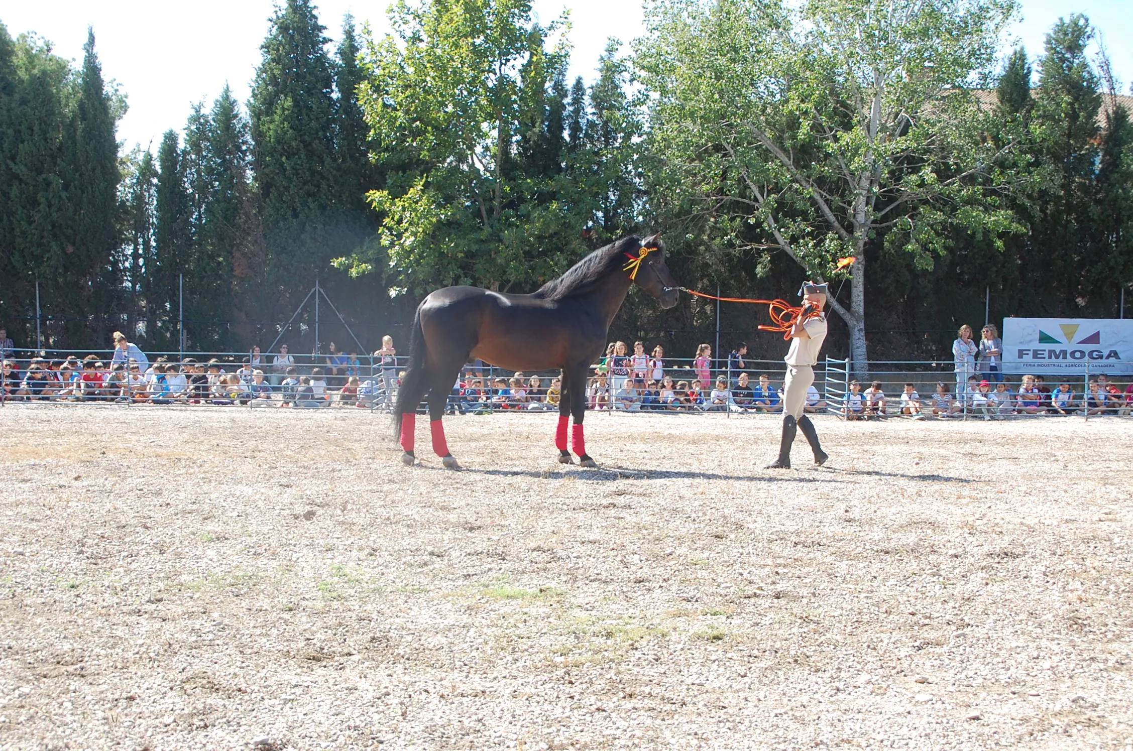  Jornada inaugural de Femoga 2023 en el recinto ferial de Sariñena.