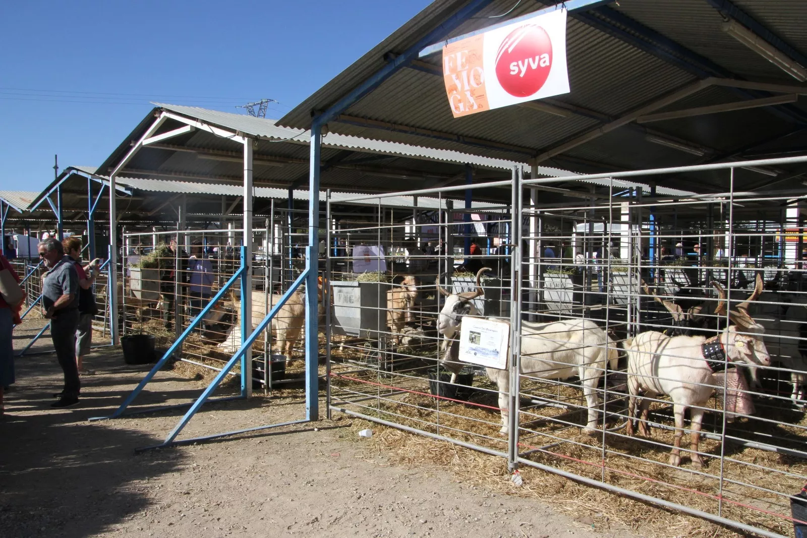 Imágenes de la 37ª edición de Femoga. Foto Carlos Neofato 