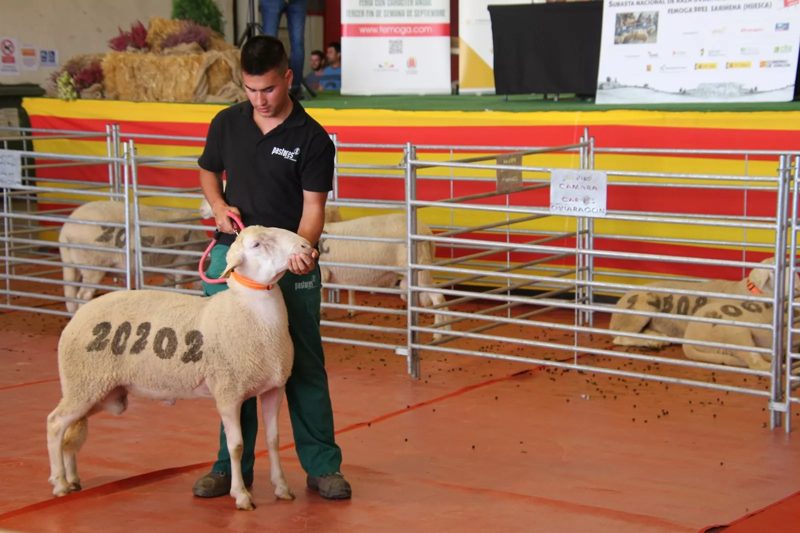 Imágenes de la 37ª edición de Femoga. Foto Carlos Neofato 
