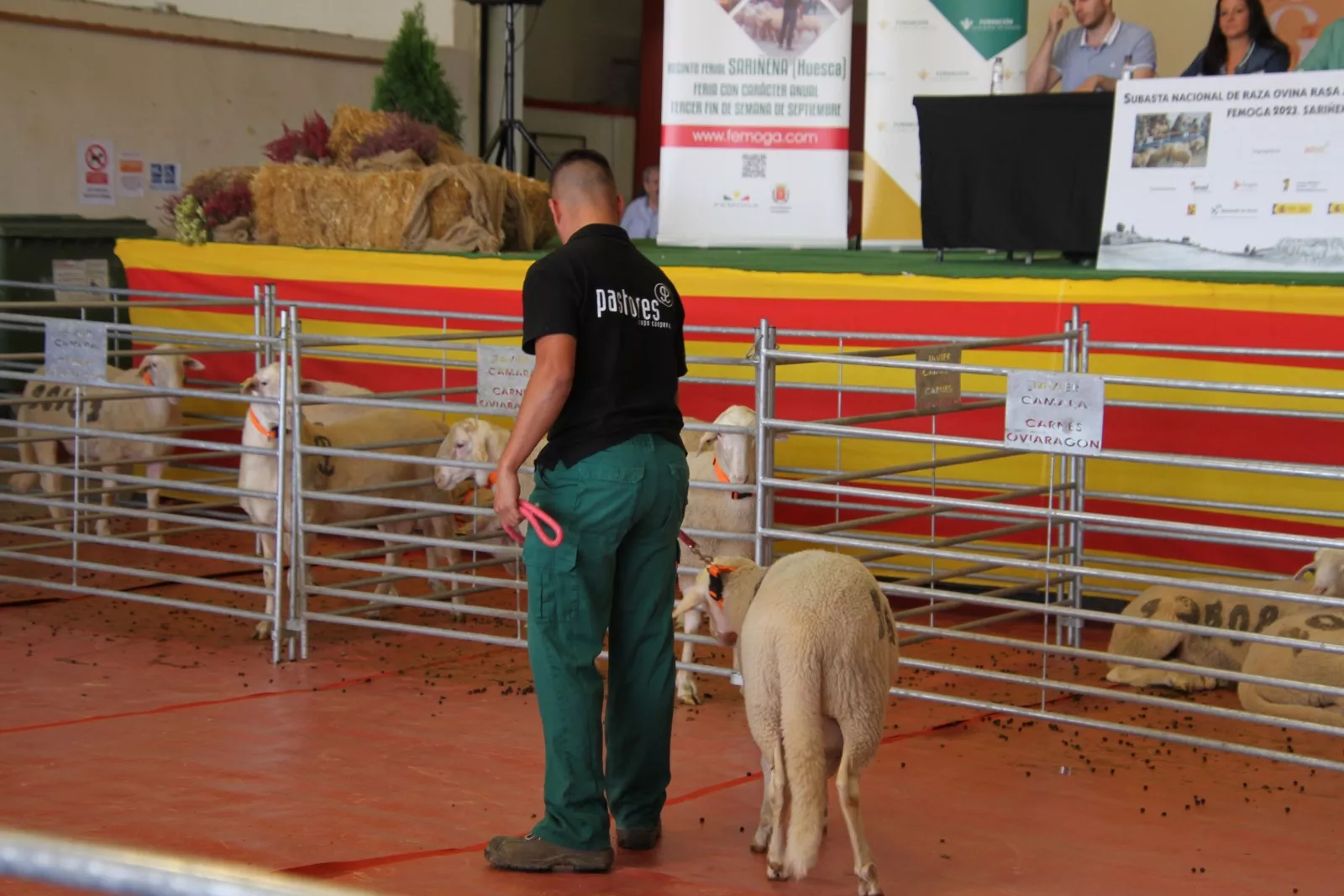 Imágenes de la 37ª edición de Femoga. Foto Carlos Neofato 