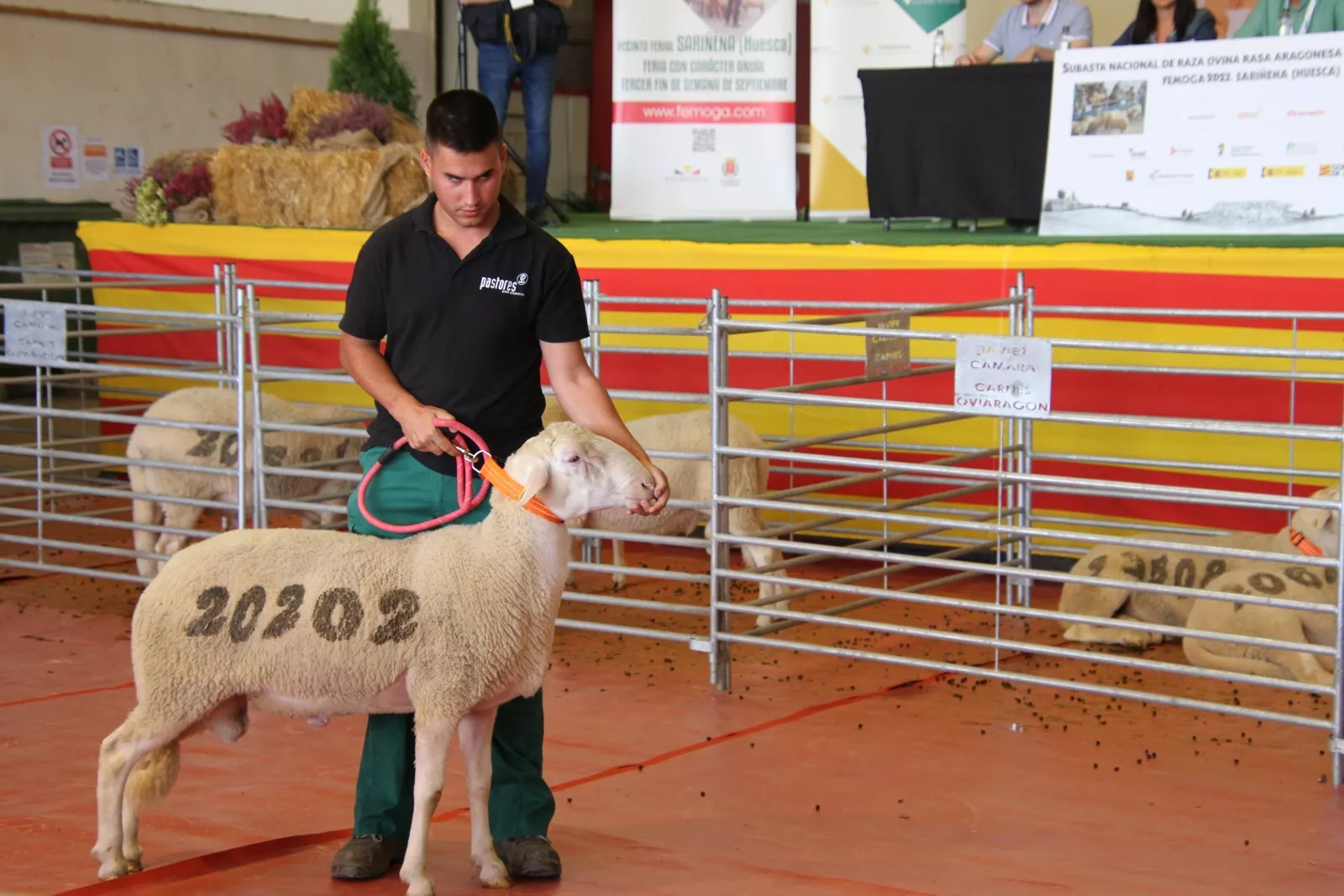 Imágenes de la 37ª edición de Femoga. Foto Carlos Neofato 