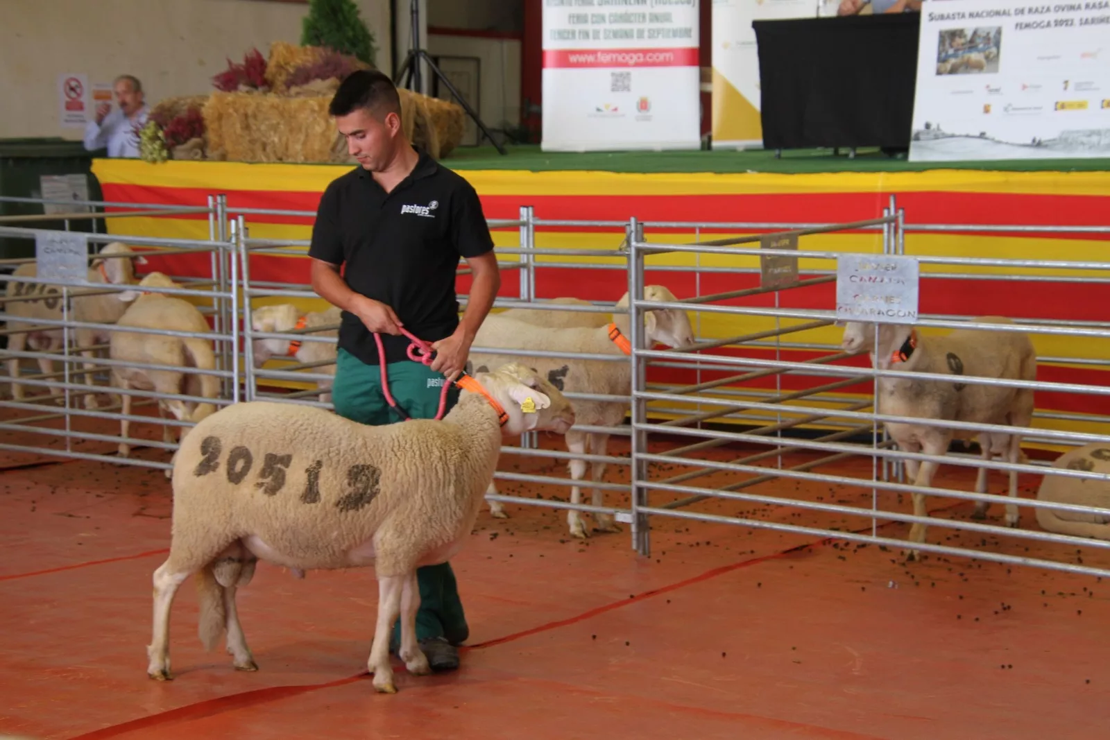 Imágenes de la 37ª edición de Femoga. Foto Carlos Neofato 