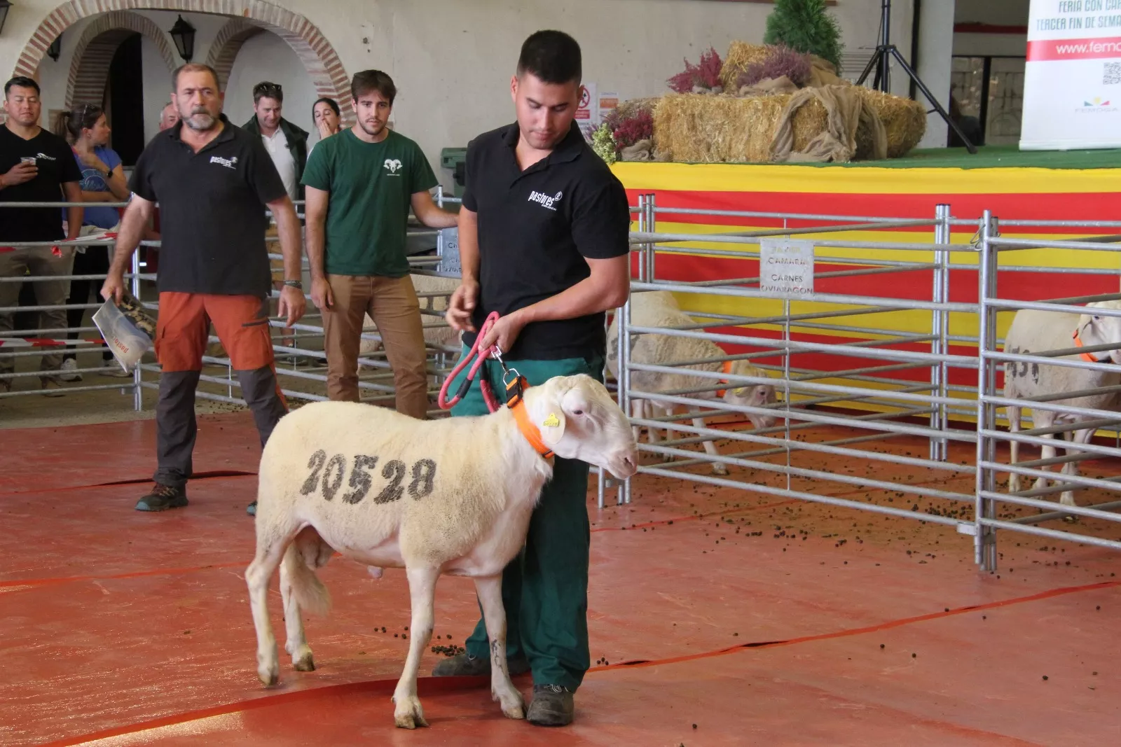 Imágenes de la 37ª edición de Femoga. Foto Carlos Neofato 