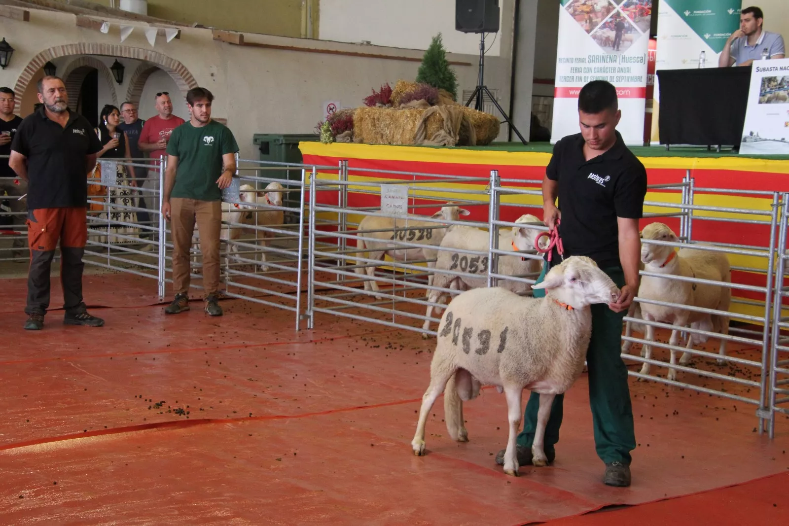 Imágenes de la 37ª edición de Femoga. Foto Carlos Neofato 