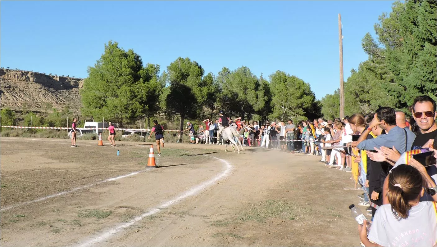 Turno de Lucía Sancho