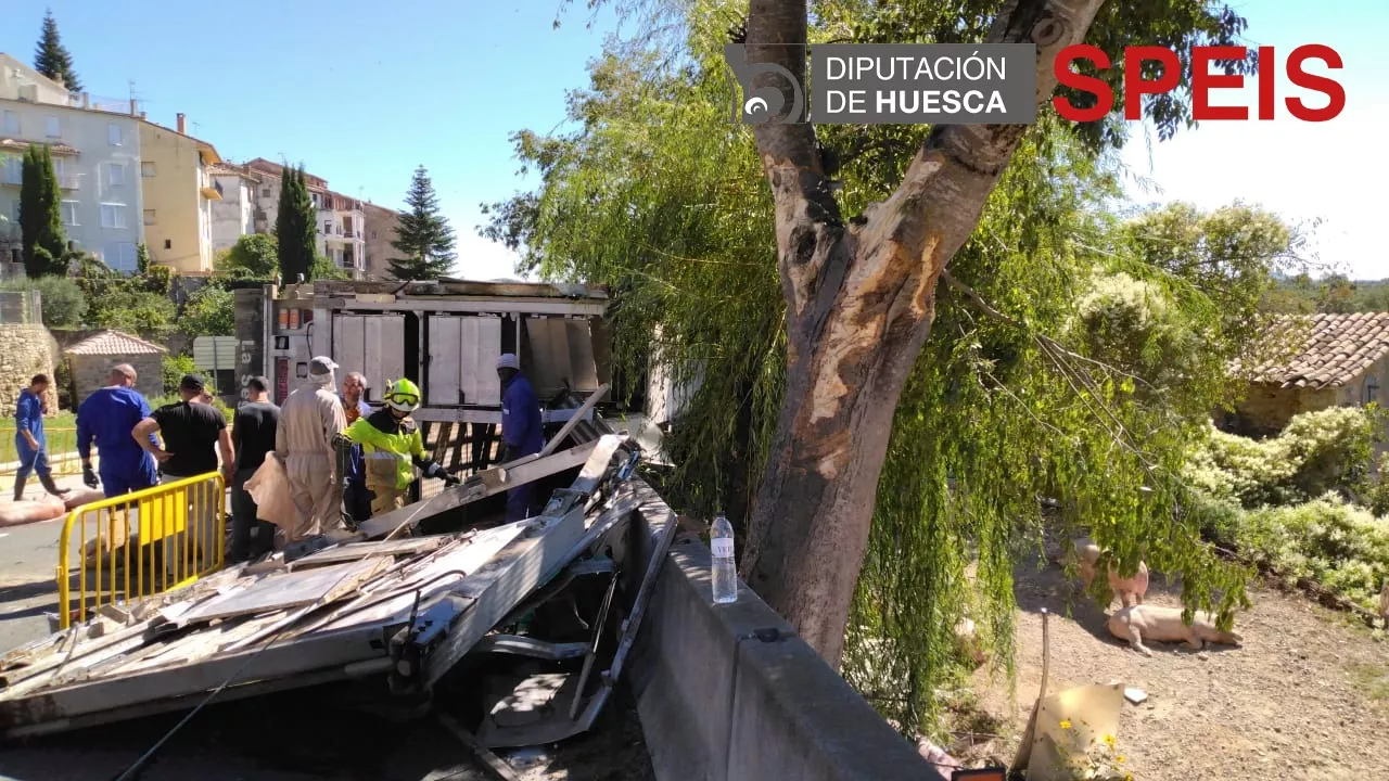 Un camión cargado de cerdos ha volcado en Benabarre.