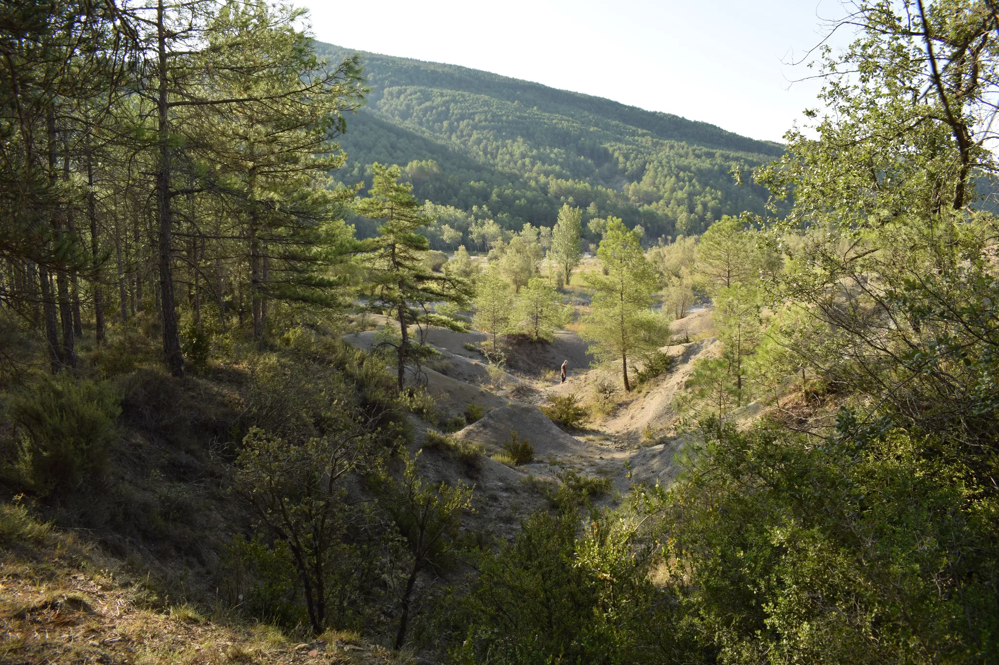 Las pesquisas han conducido al espacio triangular que forman la antigua carretera de Gerbe a Arro el antiguo camino Gerbe Griébal y el Barranco de La Nata. Foto Son (002)