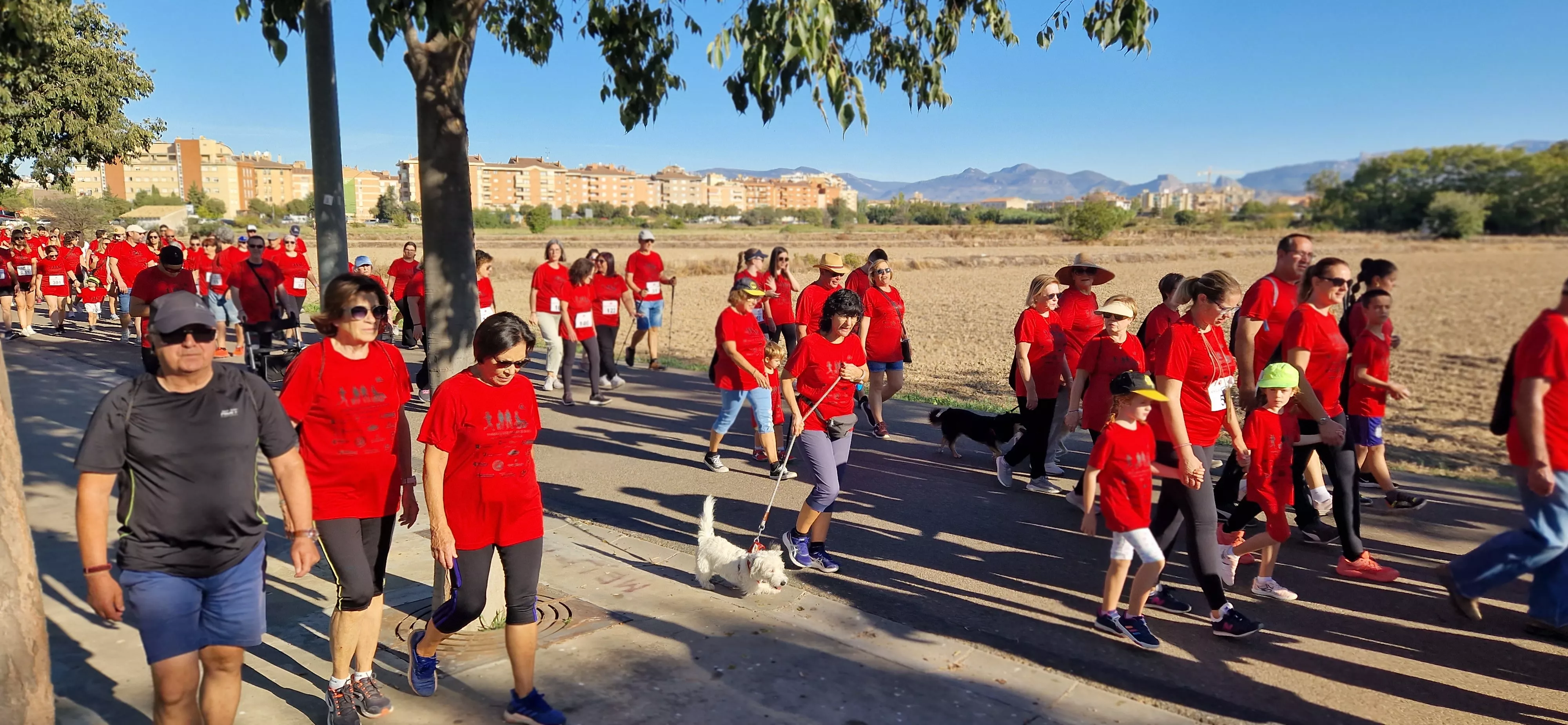 I Marcha por la Esclerosis Múltiple en Huesca. Foto Myriam Martínez 