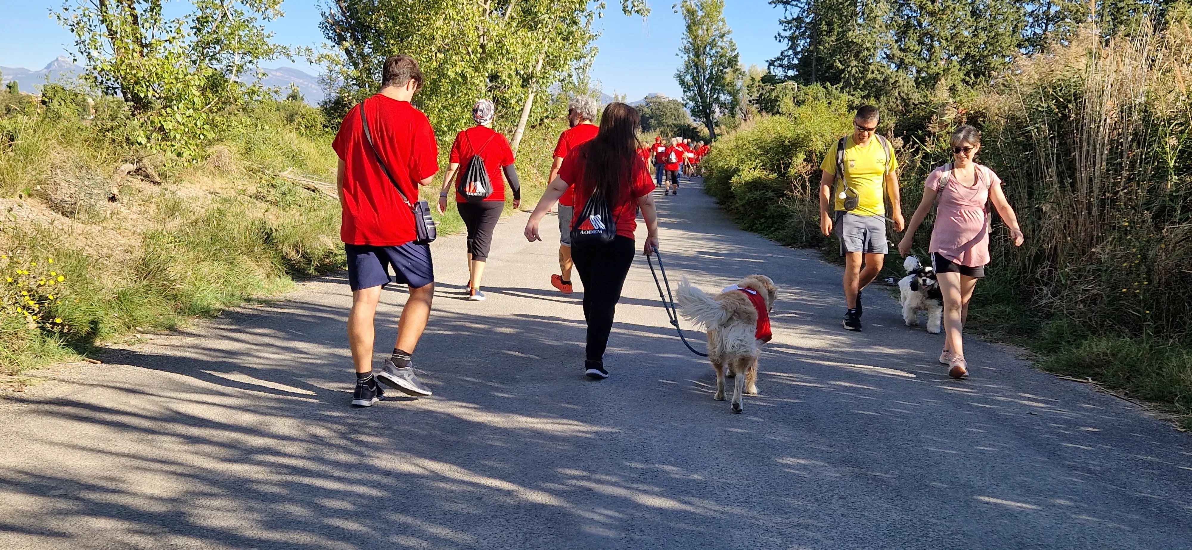 I Marcha por la Esclerosis Múltiple en Huesca. Foto Myriam Martínez 