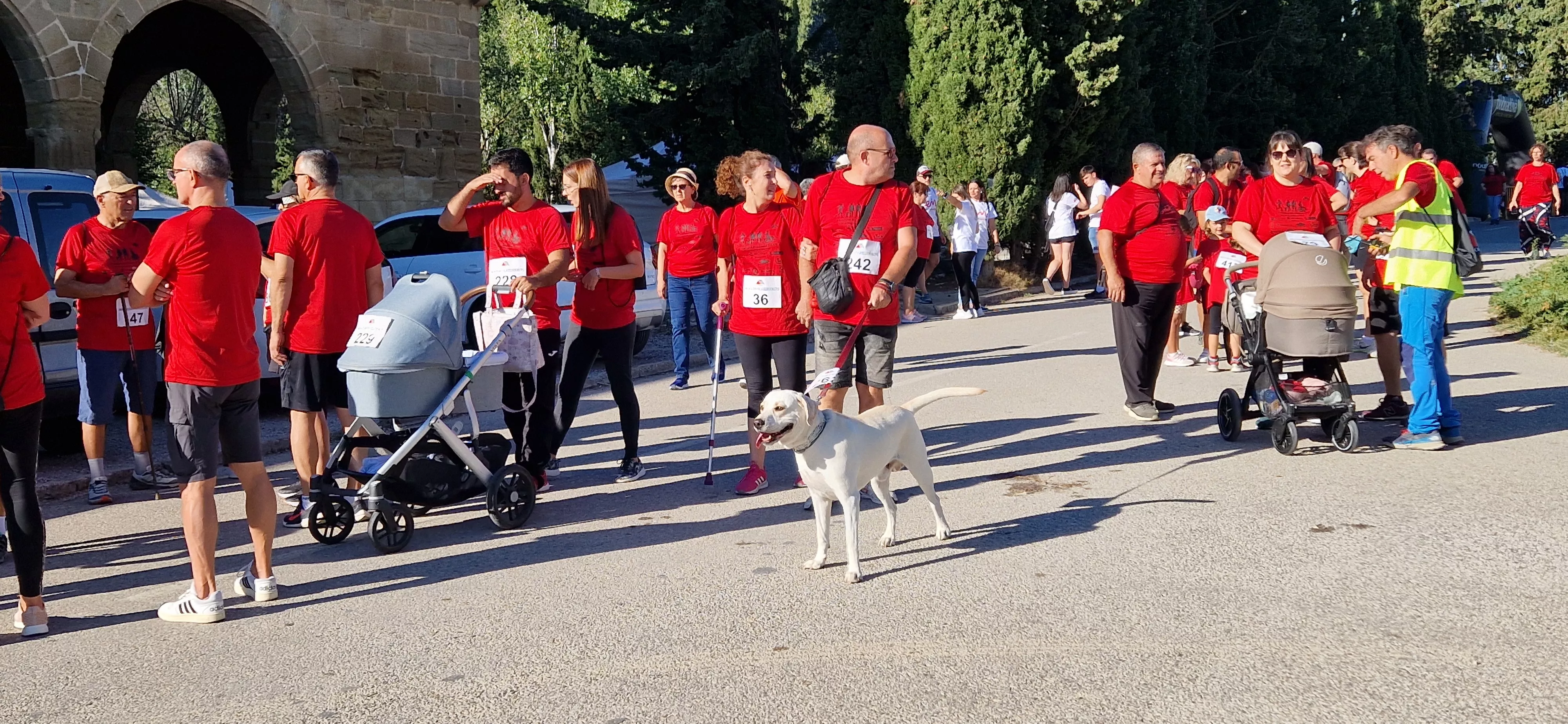 I Marcha por la Esclerosis Múltiple en Huesca. Foto Myriam Martínez 