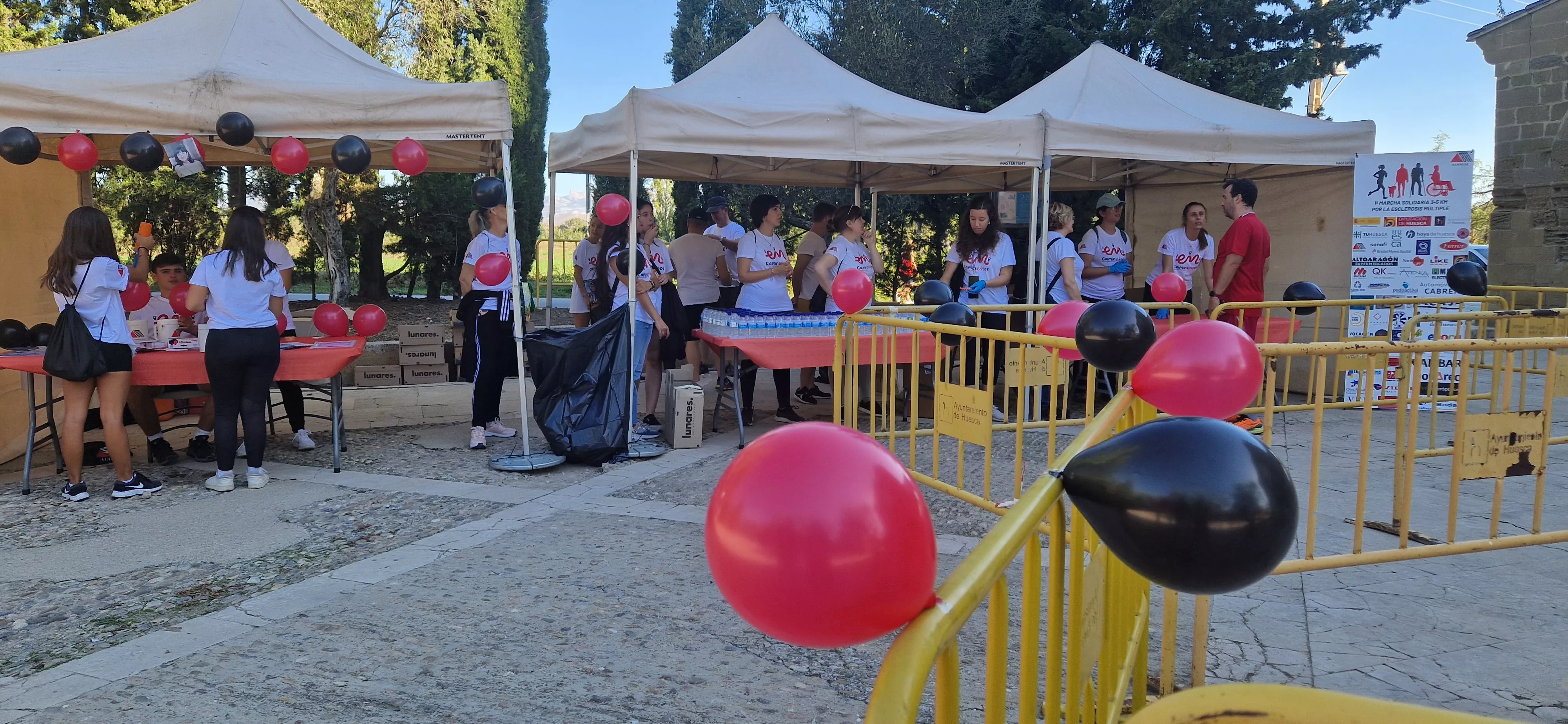 I Marcha por la Esclerosis Múltiple en Huesca. Foto Myriam Martínez 