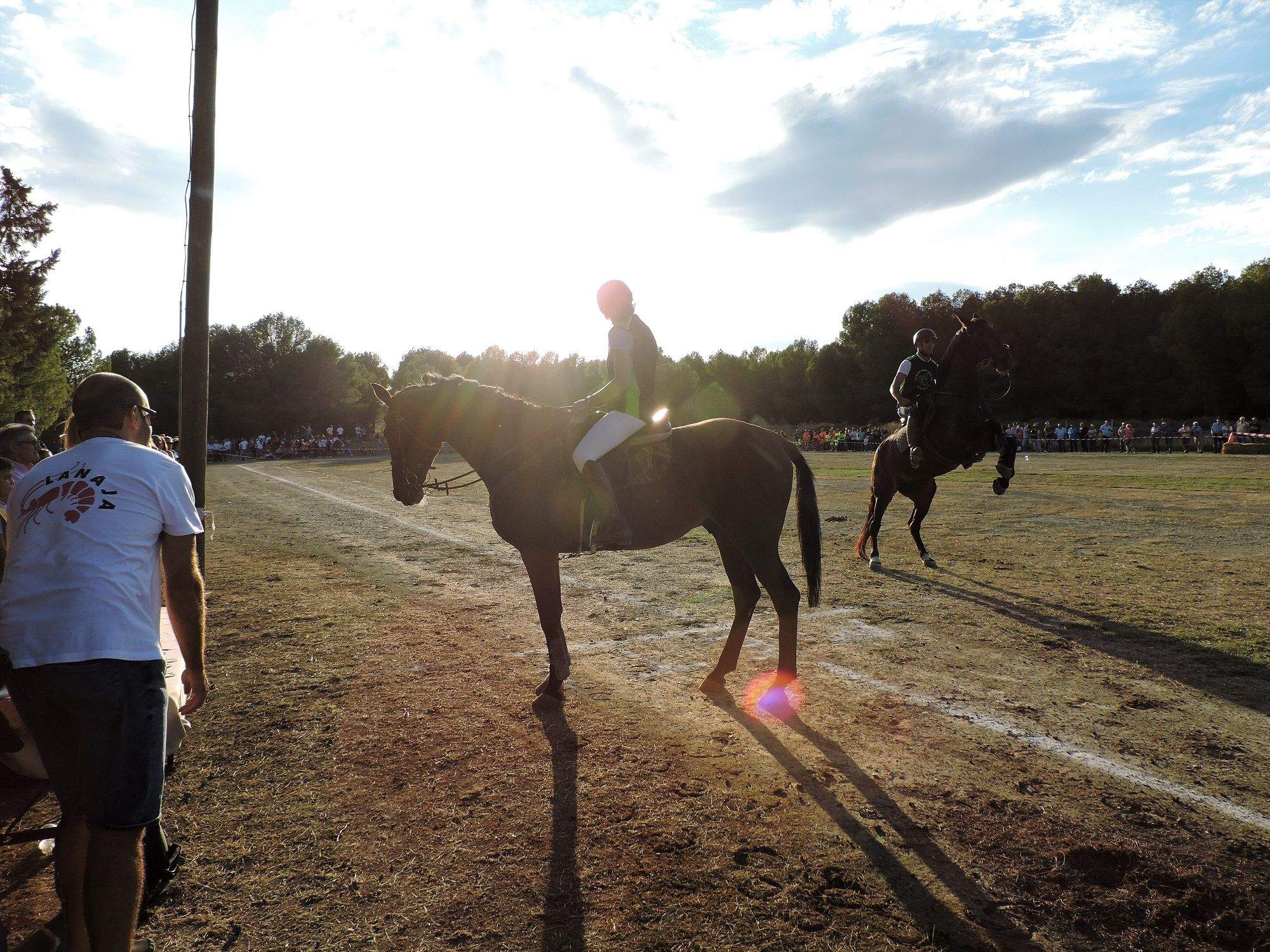 La yegua Samaipata alterada junto al caballo Gábalo.