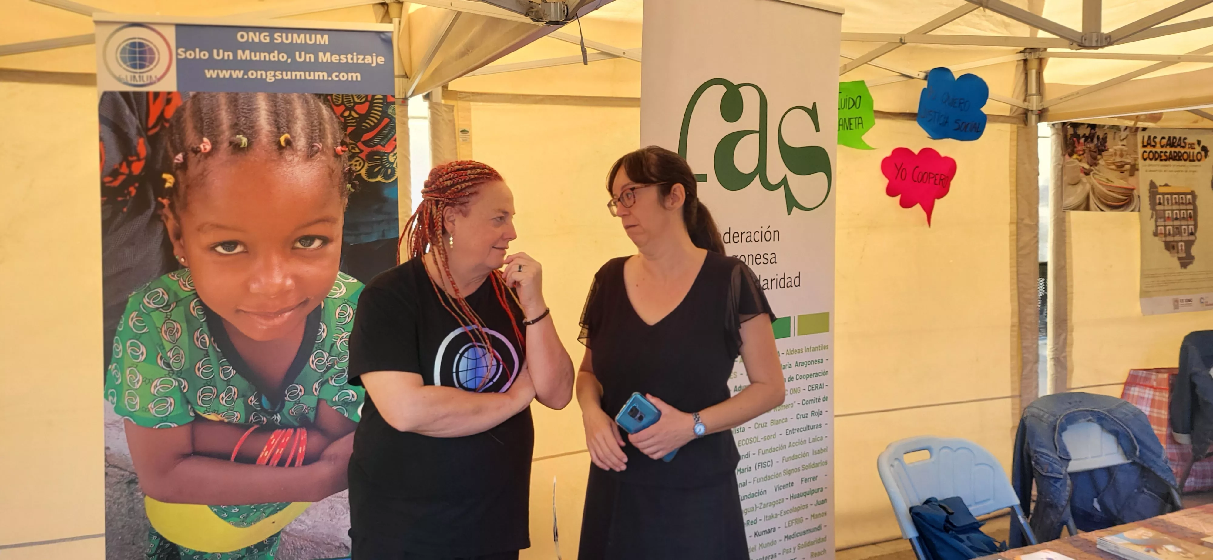 Feria de Entidades celebrada en Huesca. Foto: Mercedes Manterola