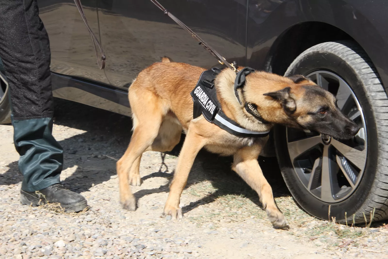 Trail Montearagón piedra a piedra. Foto Carlos Neofato 