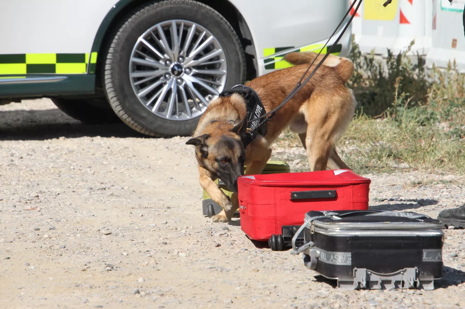 Trail Montearagón piedra a piedra. Foto Carlos Neofato 