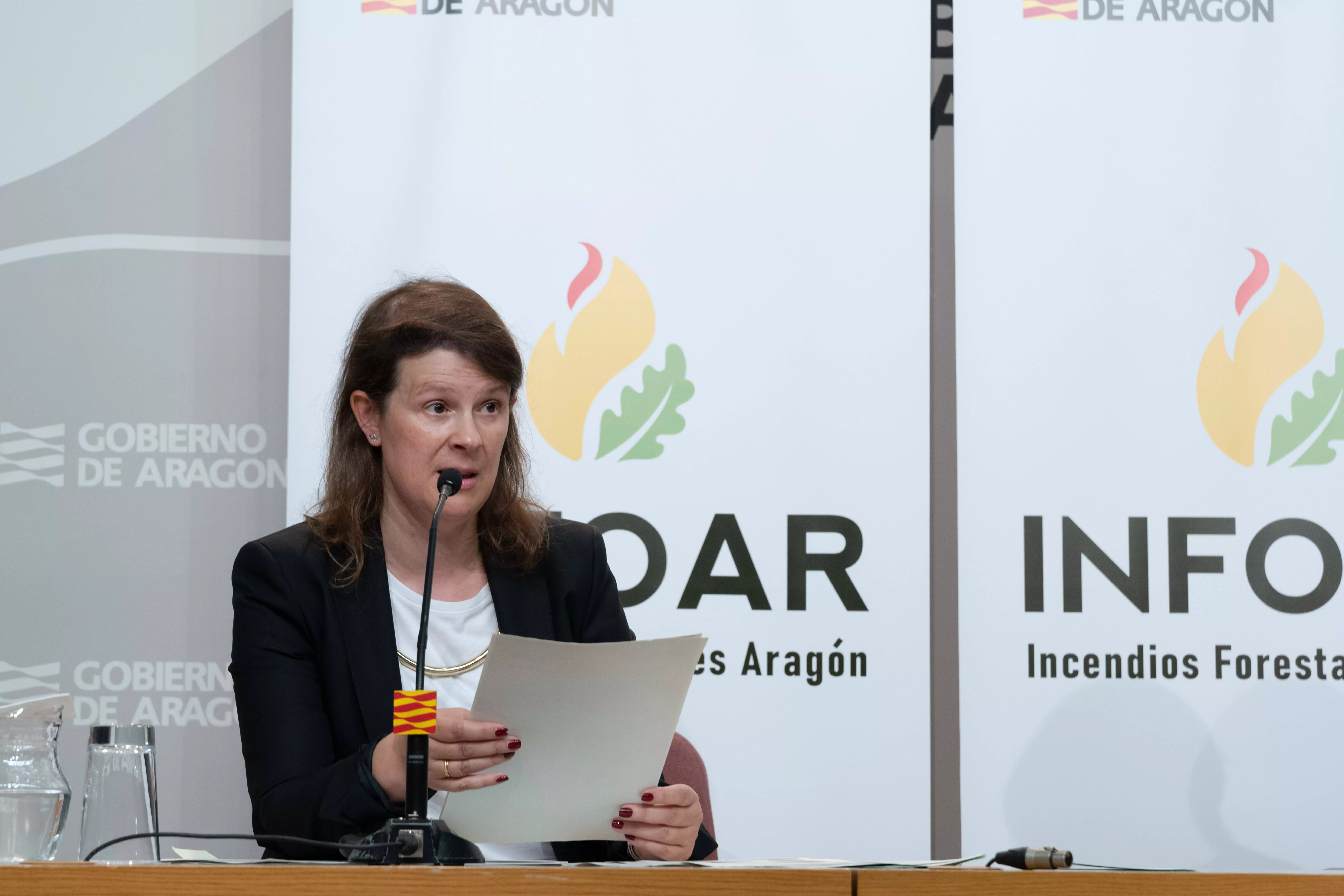 Ana Oliván, directora general de Gestión Forestal, ha explicado la campaña de prevención de incendios