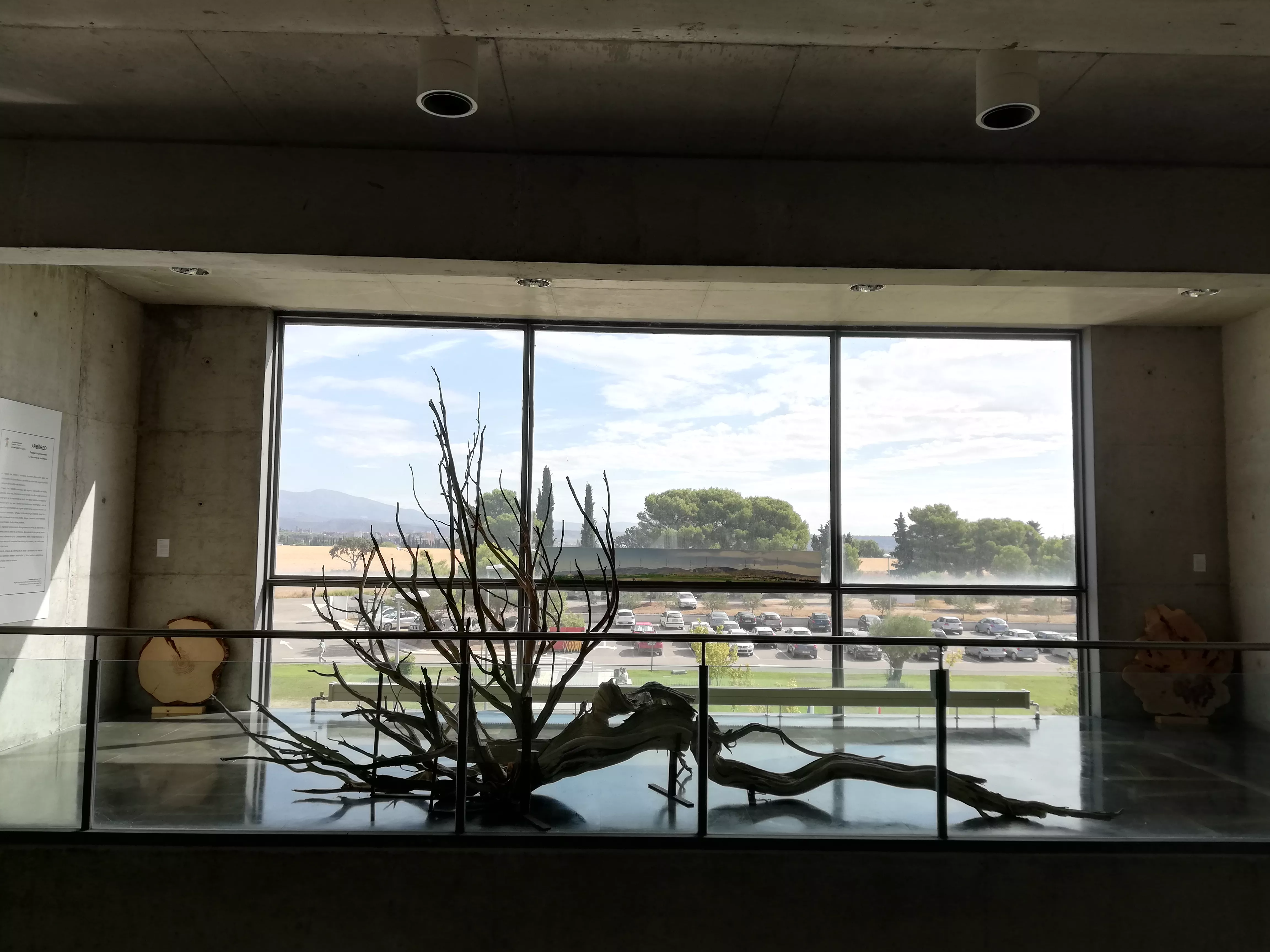 La Escuela Politécnica del Campus de Huesca acoge la exposición ‘Arboreo’, que interpreta, entre otras cuestiones, los anillos de crecimiento de los árboles.