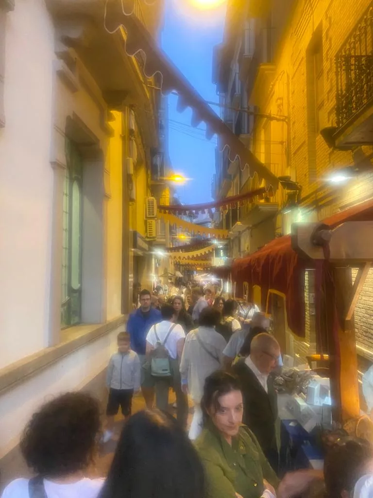 Mercado Medieval Doña Petronila en Barbastro