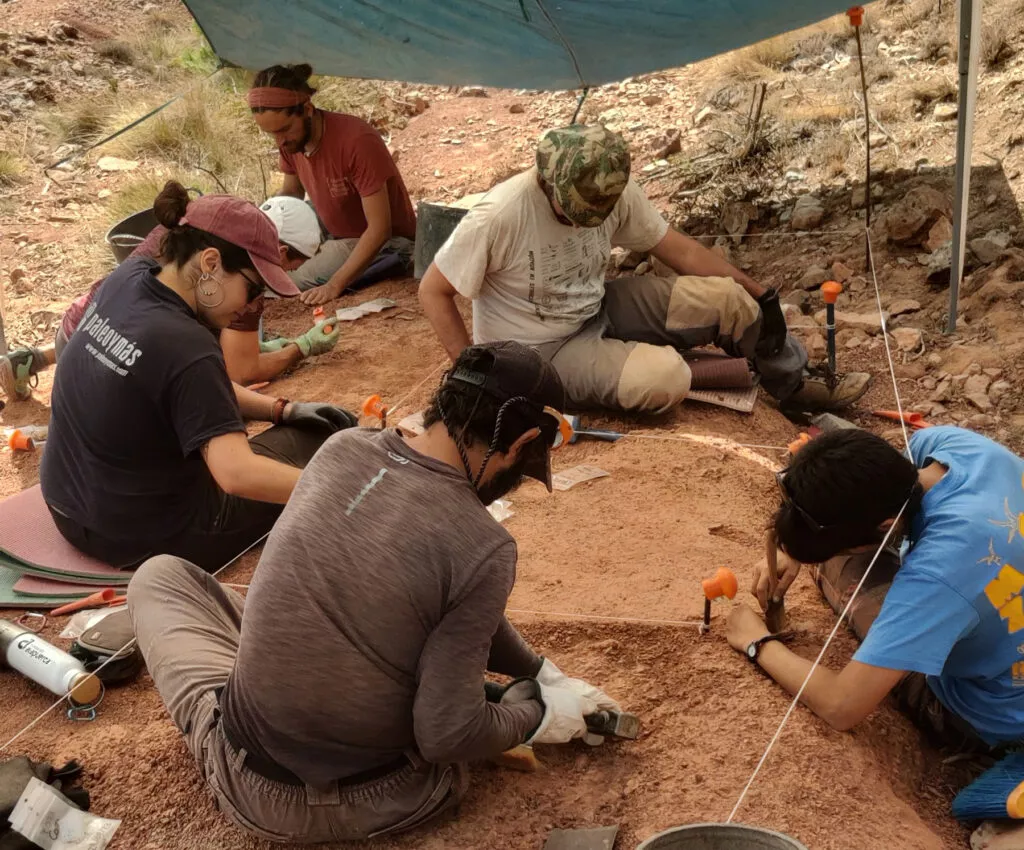 Excavaciones en un nuevo yacimiento hallado en la sierra de Loarre. Excavaciones en un nuevo yacimiento hallado en la sierra de Loarre.
