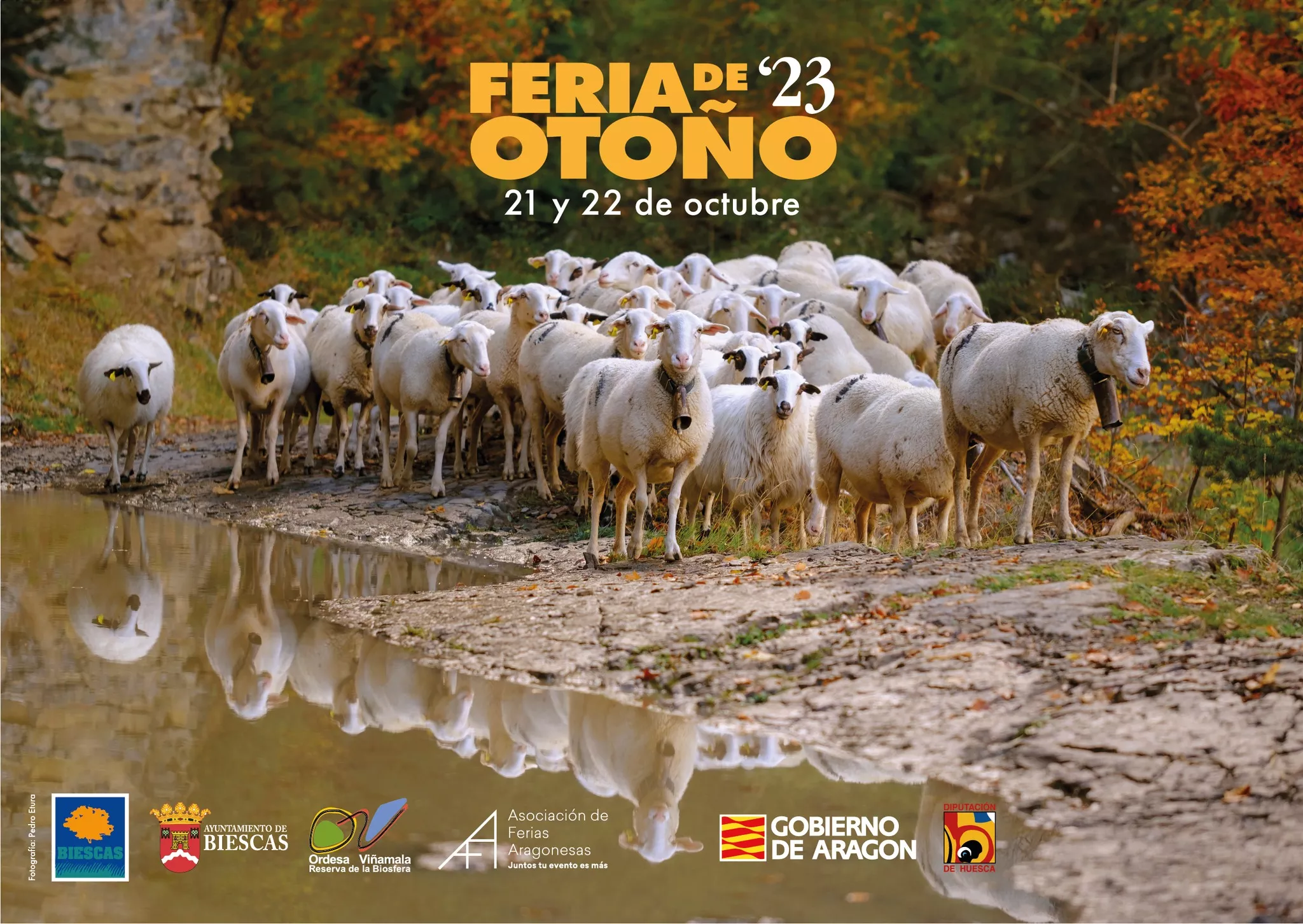 Cartel de la Feria de Otoño de Biescas 2023, obra de Pedro Etura. Cartel de la Feria de Otoño de Biescas 2023, obra de Pedro Etura.