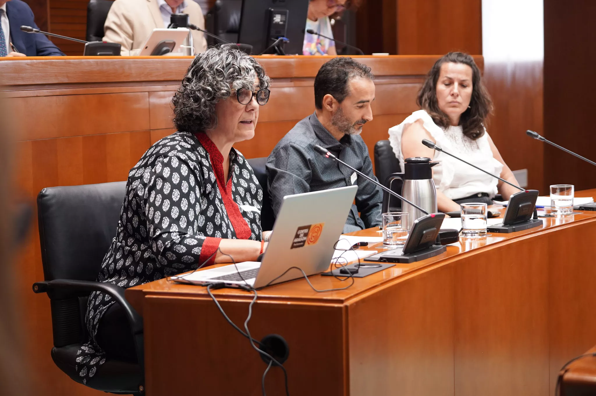 Arancha García Carpintero, Pedro Sánchez y Aurora López en las Cortes de Aragón.