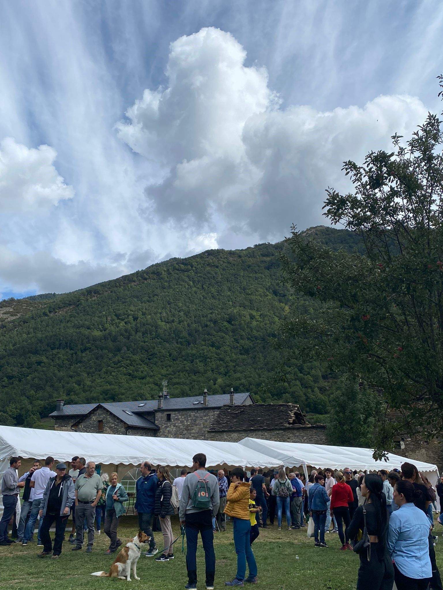 Feria de Broto, muy concurrida. FOTO: J.A.A.