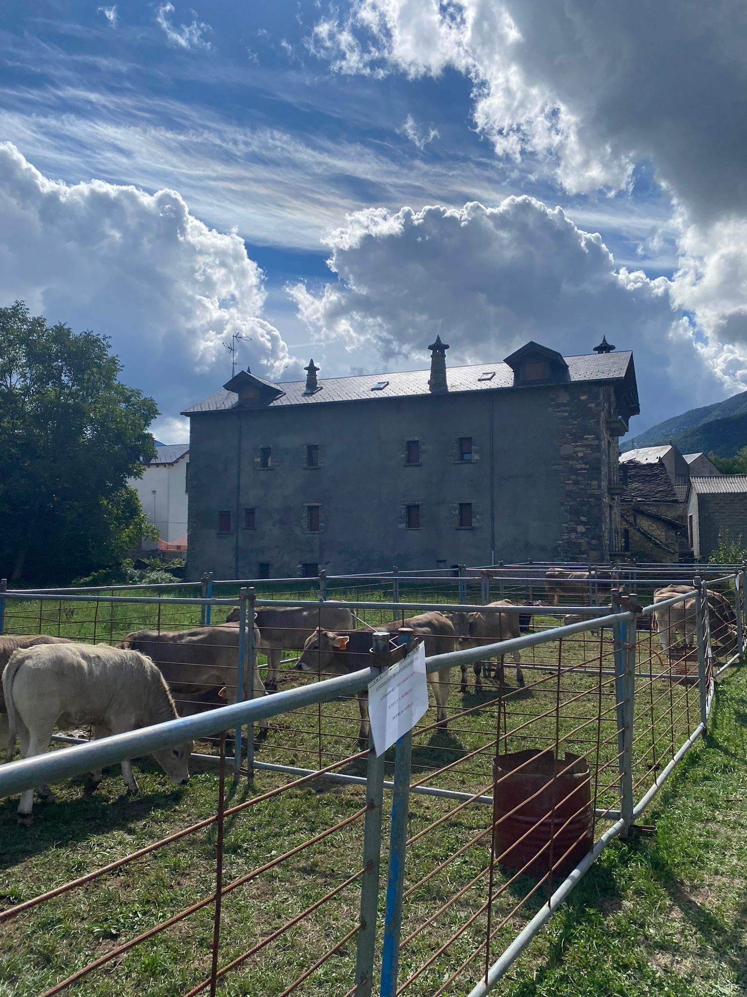 Vacuno en Broto. Asaja Huesca pide la reapertura urgente de mercados exteriores ante la dermatosis nodular contagiosa