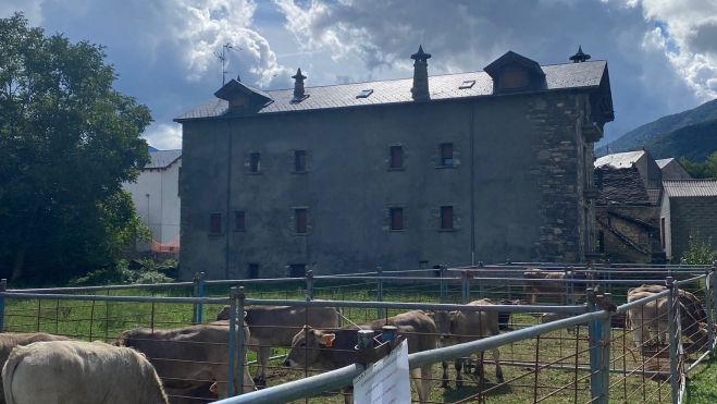 El vacuno, siempre santo y seña de Broto El vacuno, siempre santo y seña de Broto