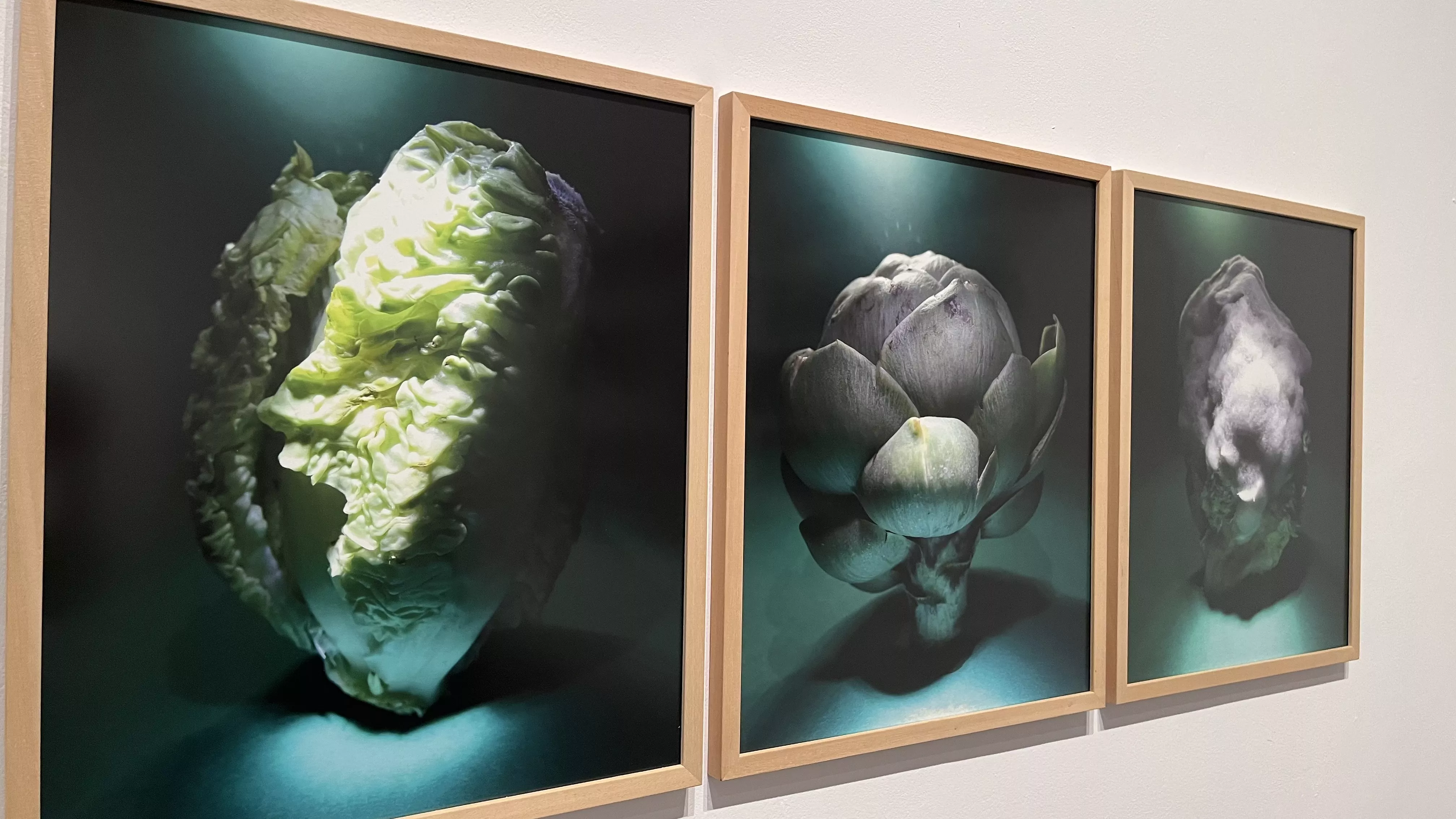 "Lugares comunes" del fotógrafo Pedro Avellaned. Foto Mercedes Manterola