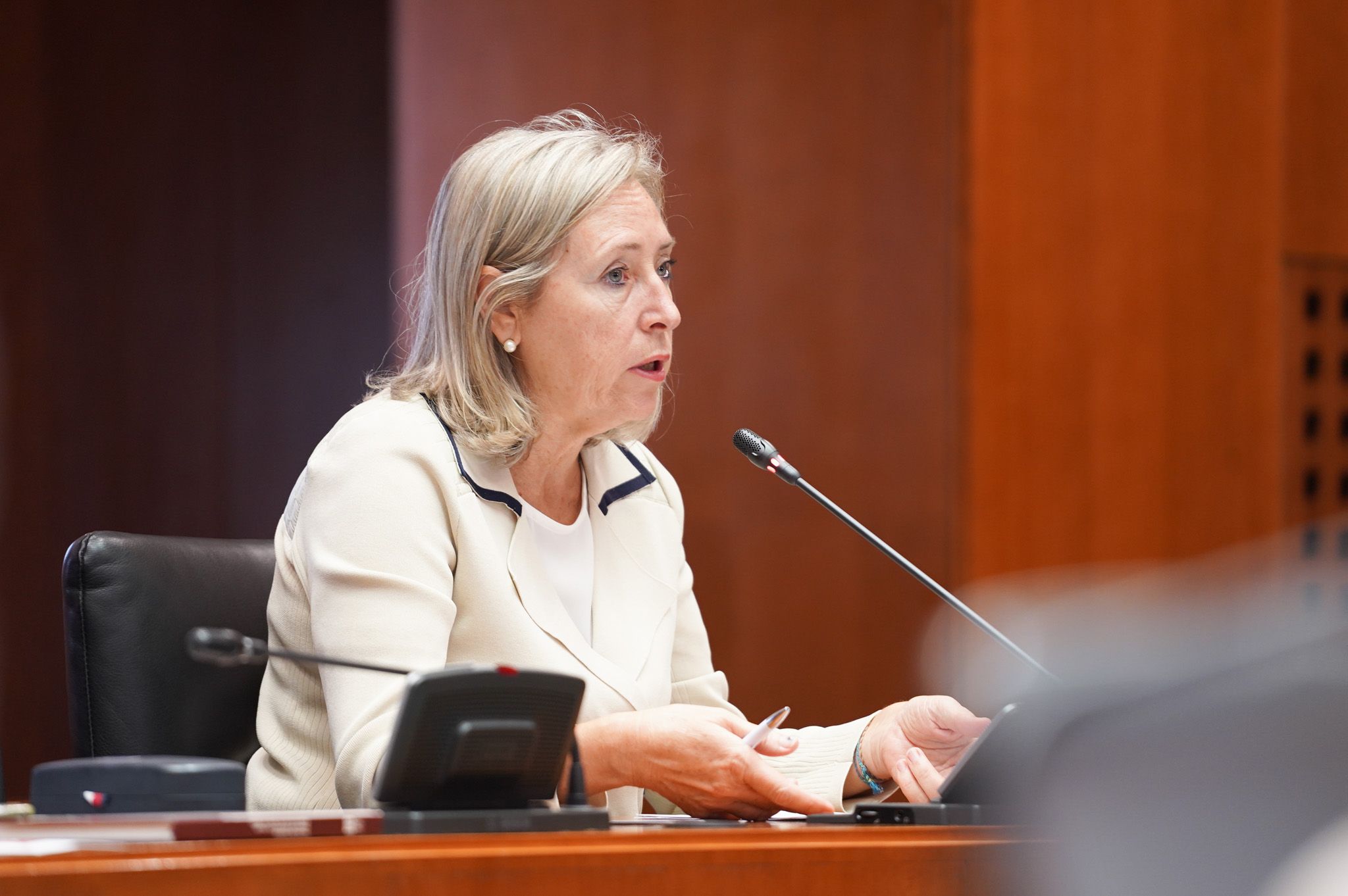 Pilar Cortés durante su intervención en la Comisión de Educación de las Cortes de Aragón