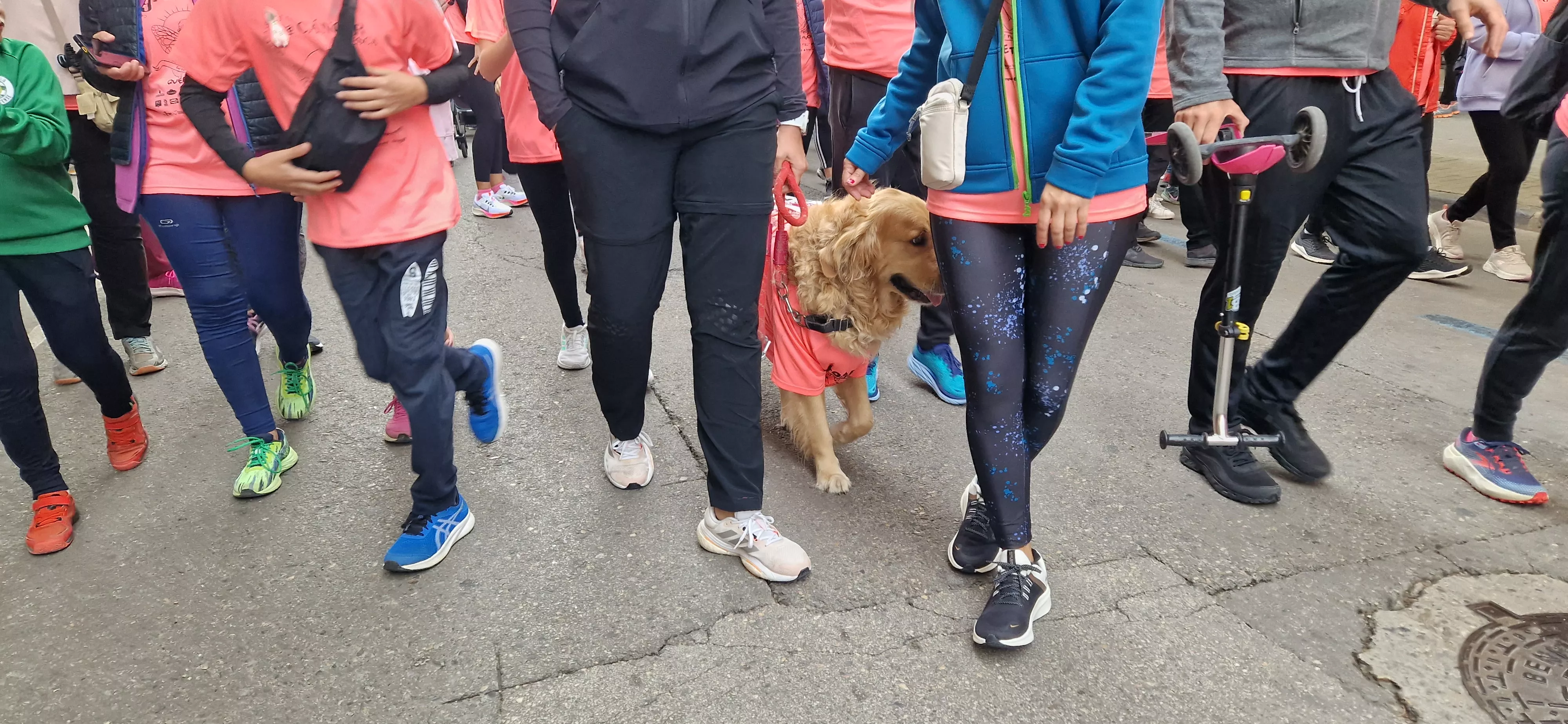 IX Carrera Huesca contra el Cáncer. Foto Myriam Martínez 
