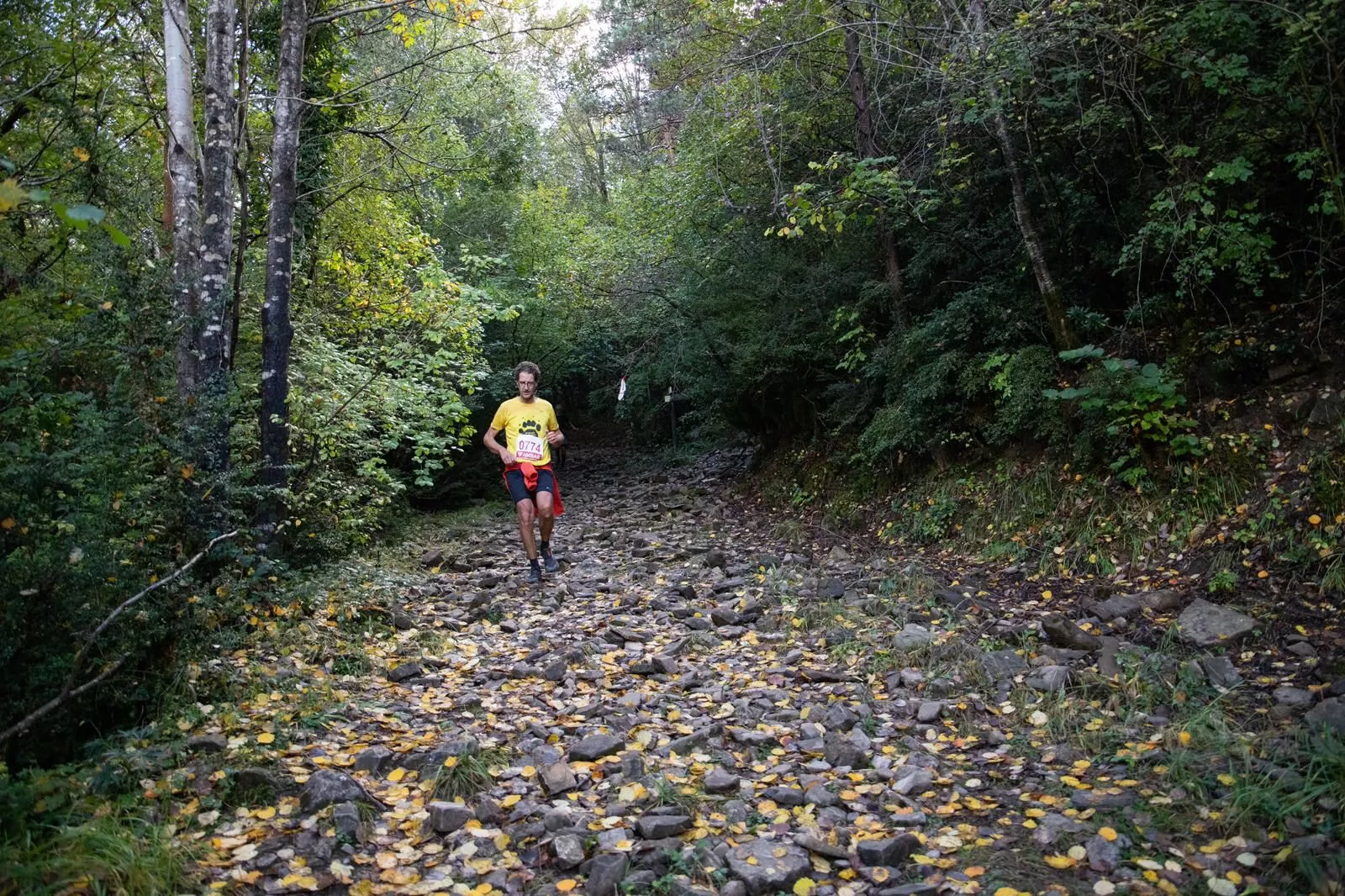 Imagen de la carrera.