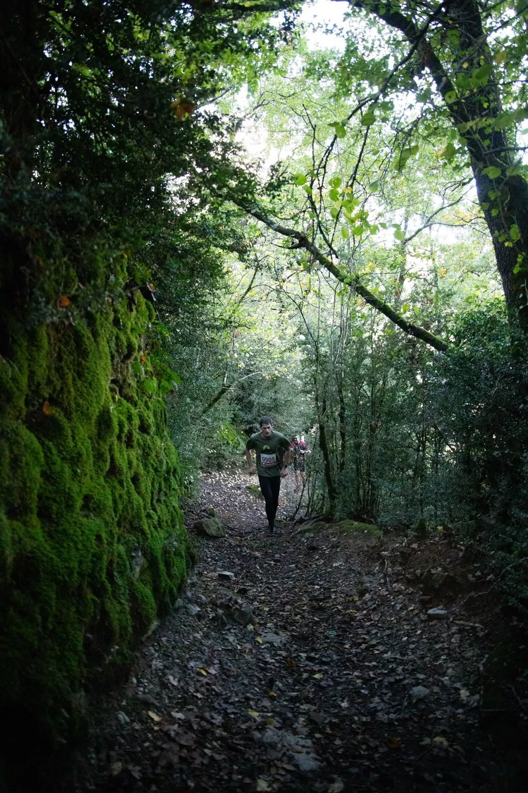 Carrera "Paso l'onso"