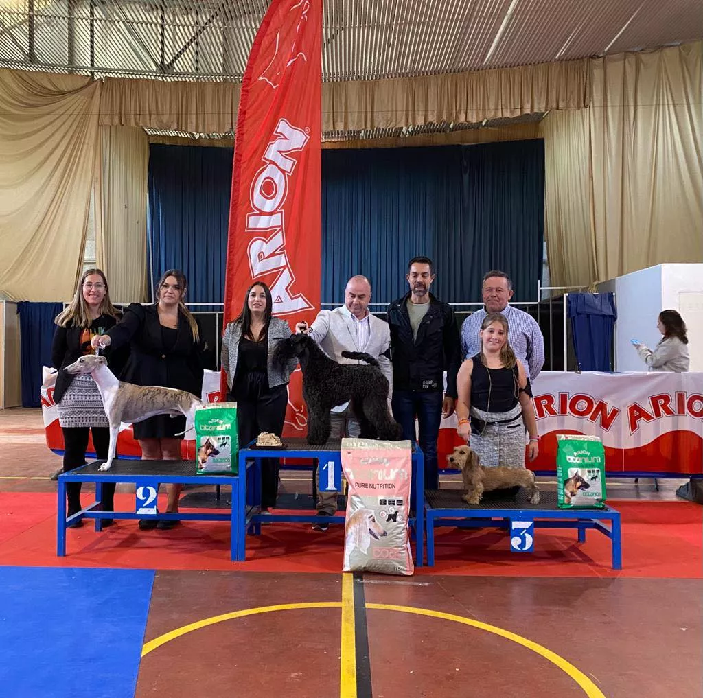 Ganadores del VII Concurso Nacional de Belleza Canina Ciudad de Monzón.