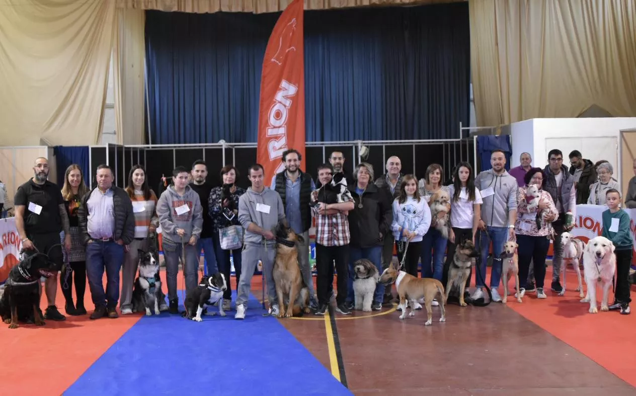 Participantes en el VII Concurso Nacional de Belleza Canina Ciudad de Monzón.