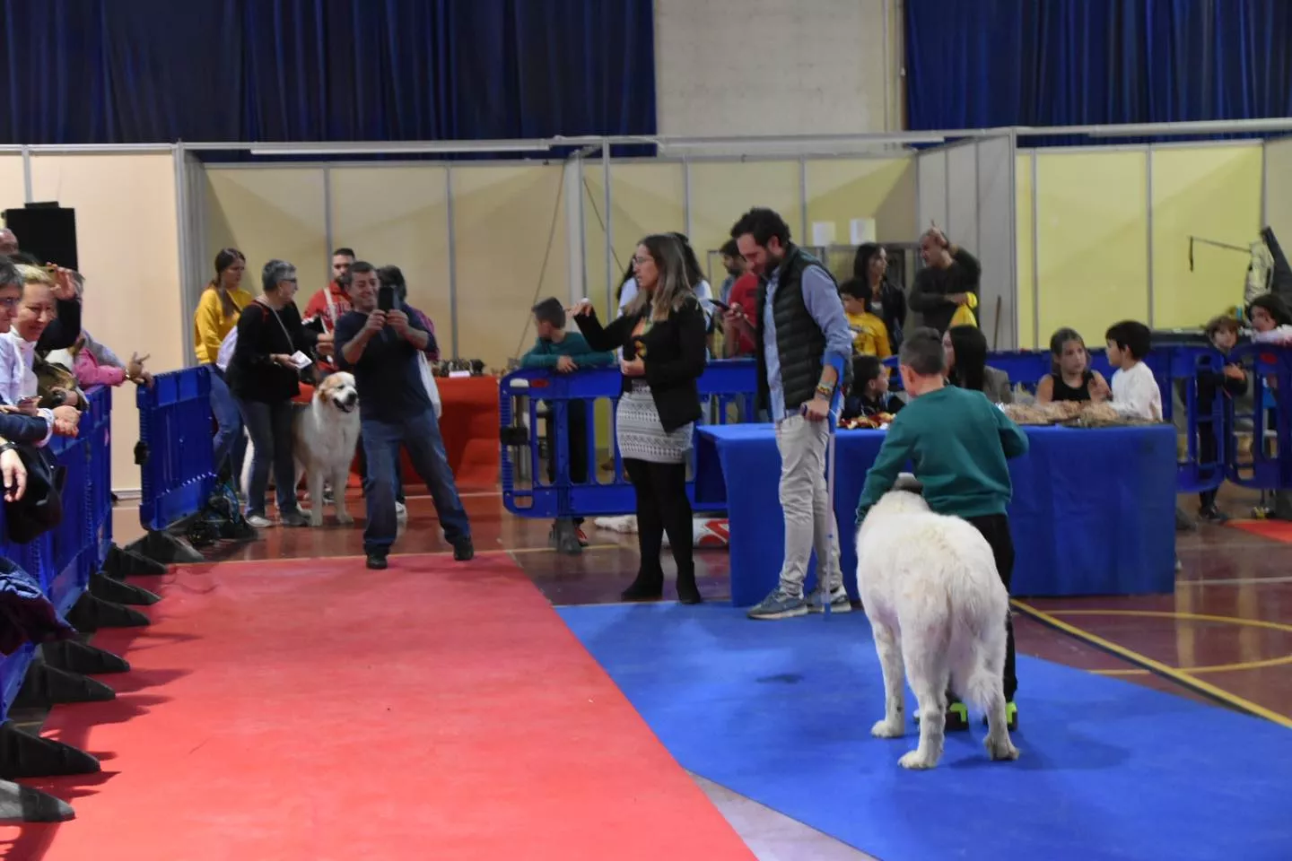 VII Concurso Nacional de Belleza Canina Ciudad de Monzón.