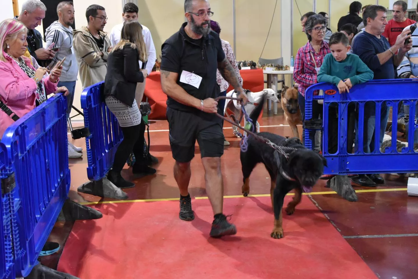 VII Concurso Nacional de Belleza Canina Ciudad de Monzón.