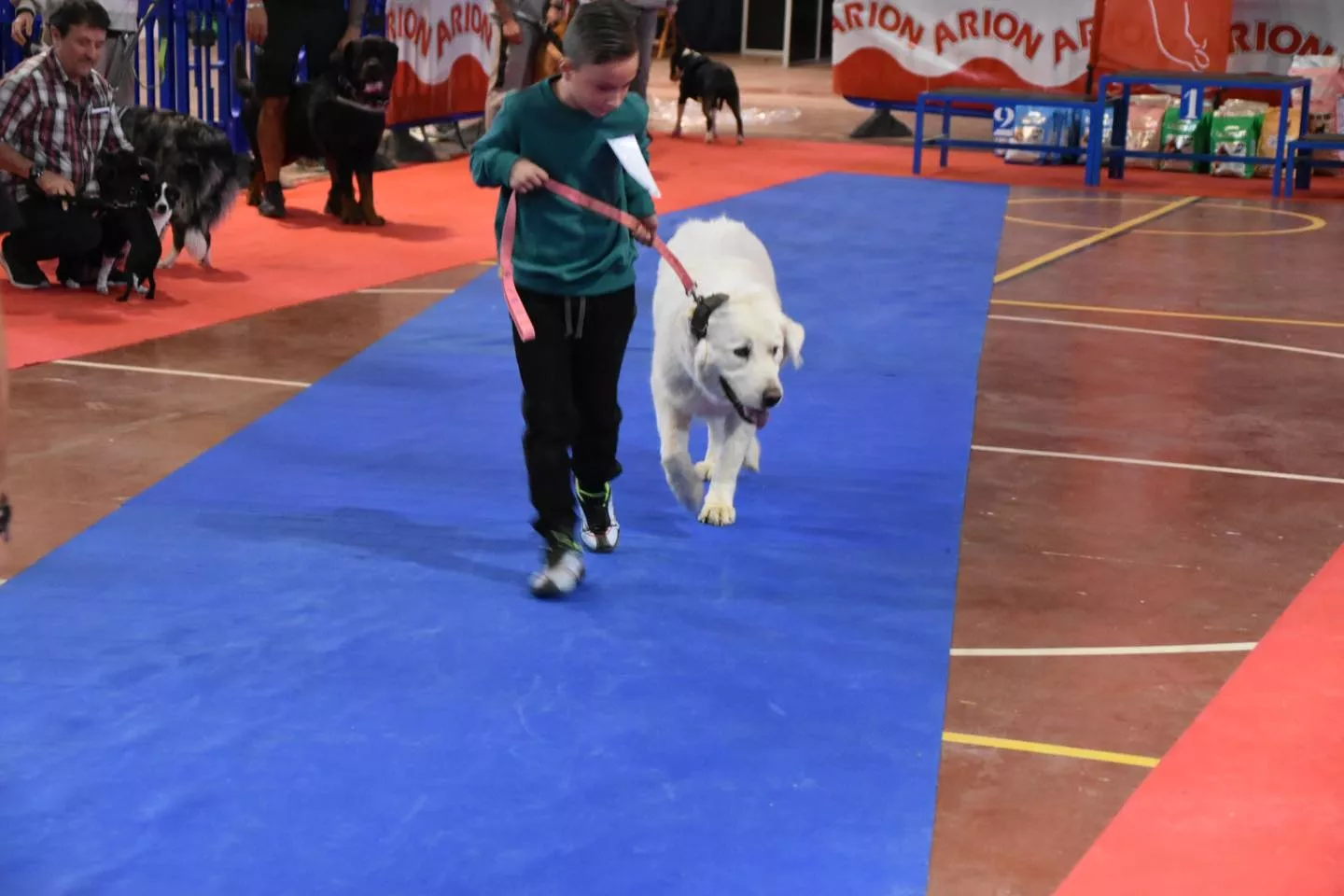 VII Concurso Nacional de Belleza Canina Ciudad de Monzón.